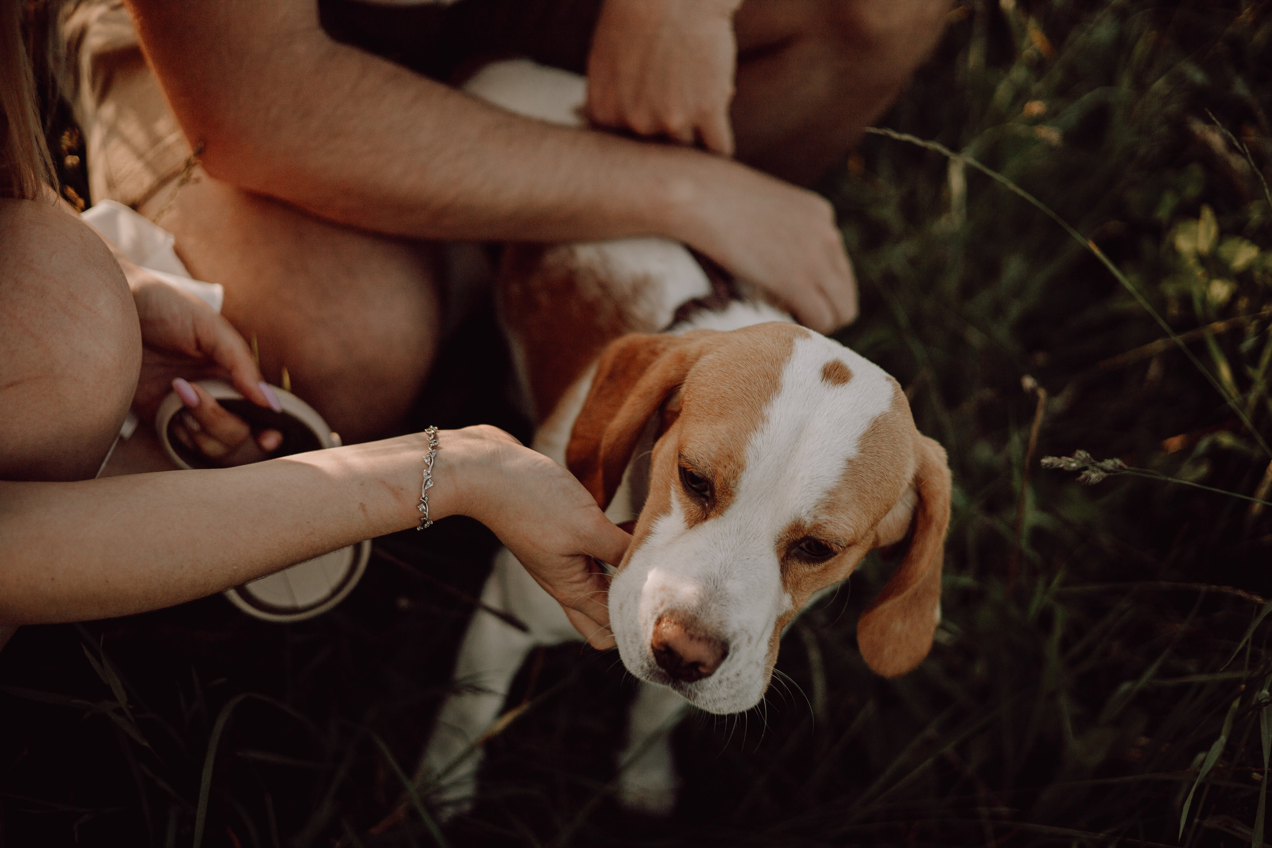 Мартин и его семья. Фотограф — анималист •love-story•|Санкт-Петербург