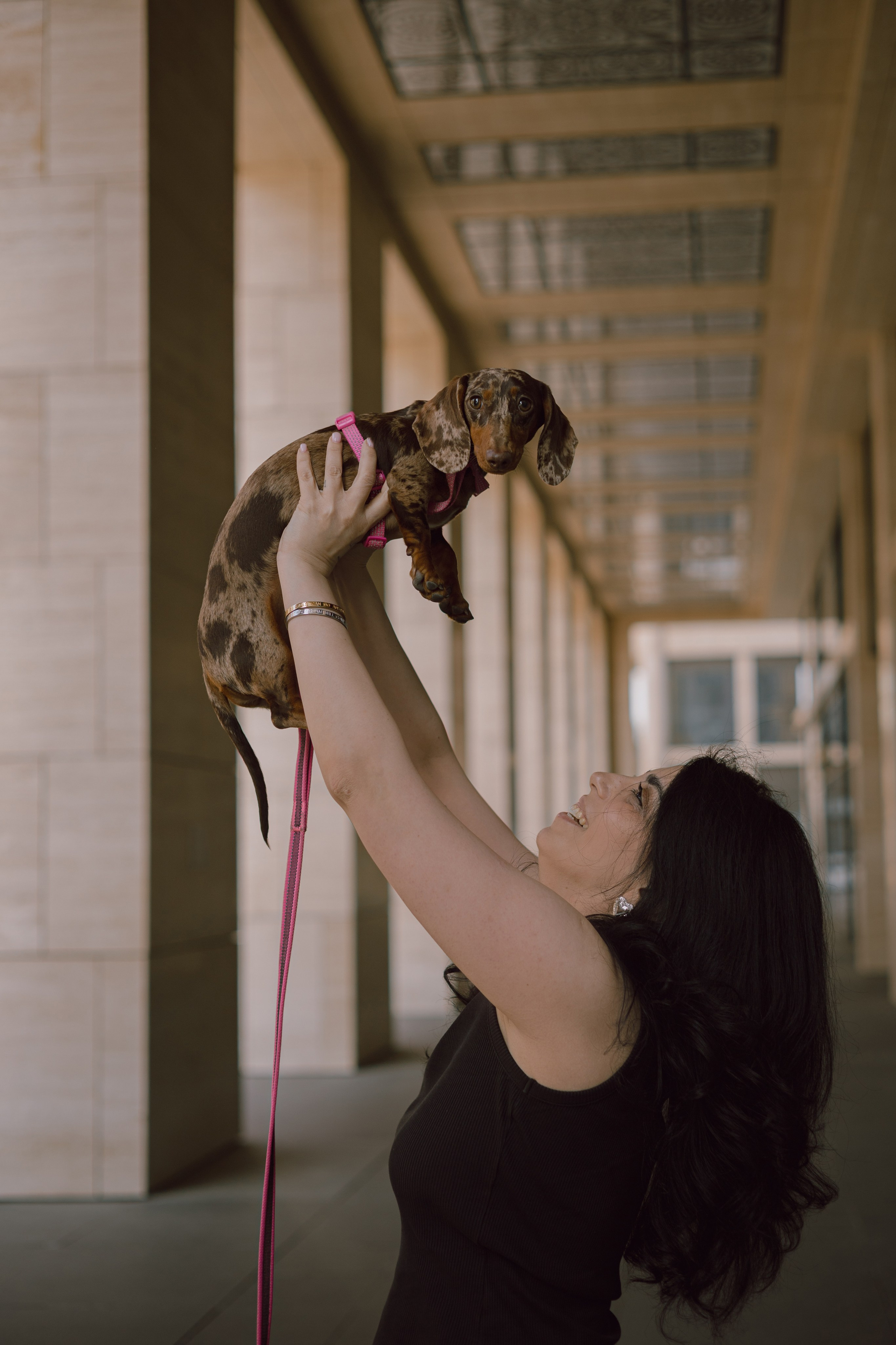 Каринэ и Келли. Фотограф — анималист •love-story•|Санкт-Петербург