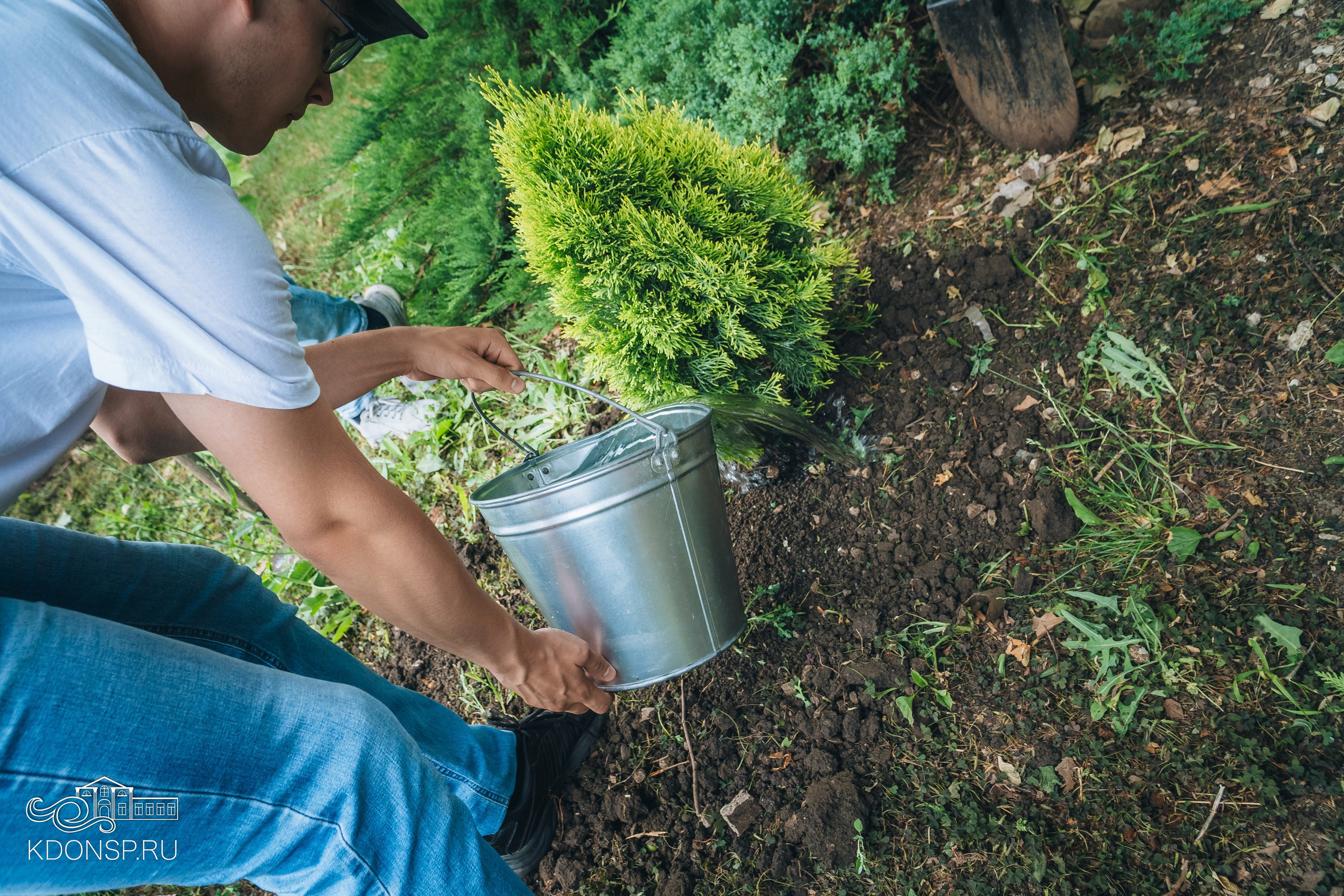 «Сад Памяти». Новотитаровский Дом культуры