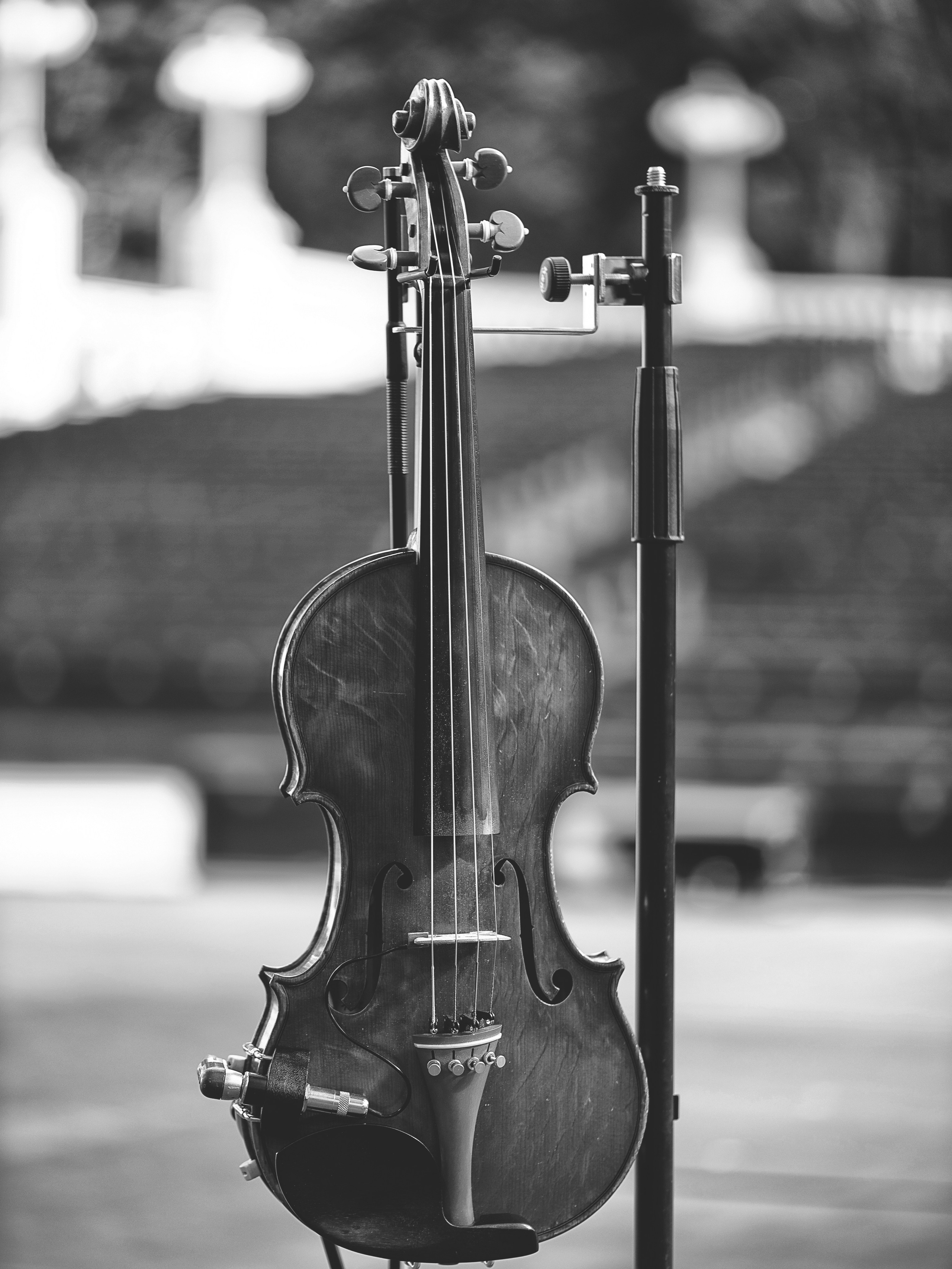 Светлана Сурганова и Оркестр. Зеленый театр, ВДНХ. 21.06.2024. Фотограф в Москве, Оксана Ребристая