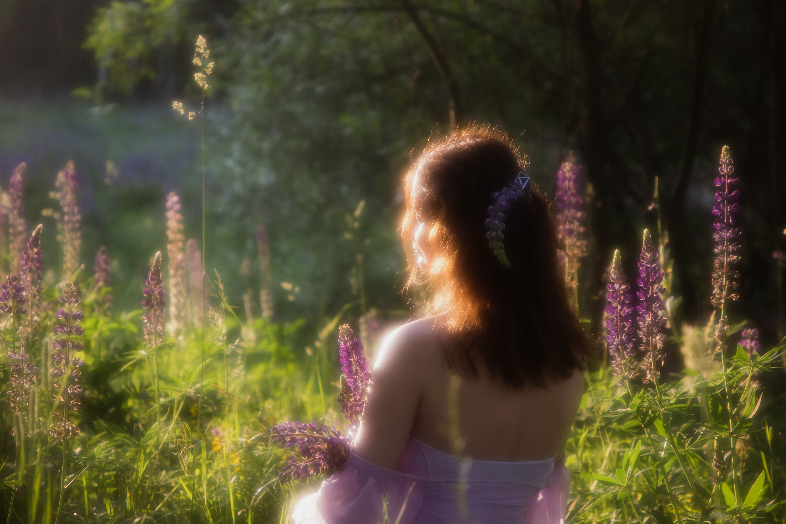 Люпиновое поле. Юлия Башкатова, сказочный фотограф, Москва