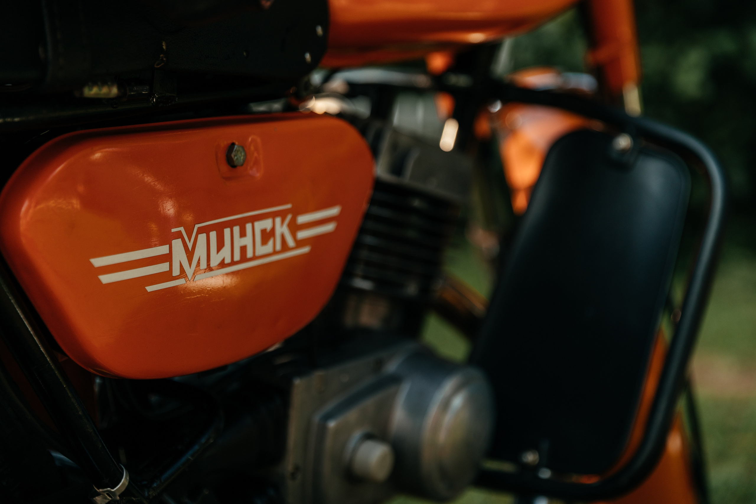 Лера и Кирилл | Forest. Свадебный фотограф Ангелина Зотова | Обнинск, Москва, Калуга