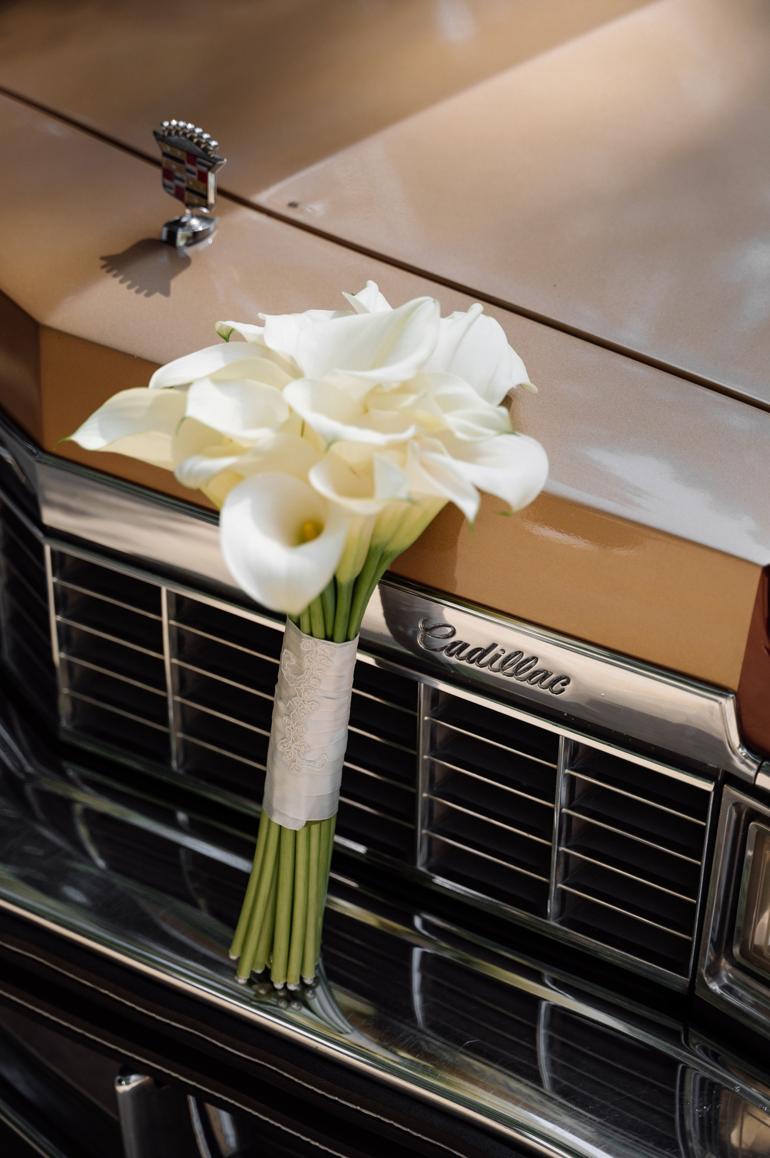 Вадим и Евгения. Свадебный фотограф Минск