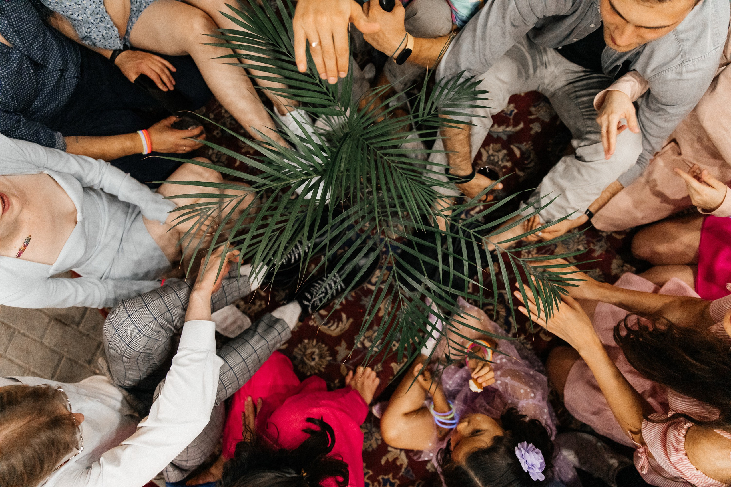 Don’t Stop The Party. Свадебный и репортажный фотограф