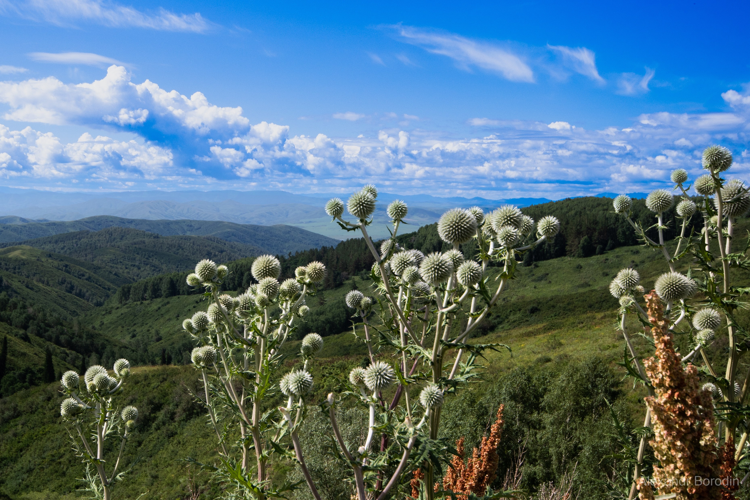 Пейзажи. Профессиональный фотограф Александр Бородин