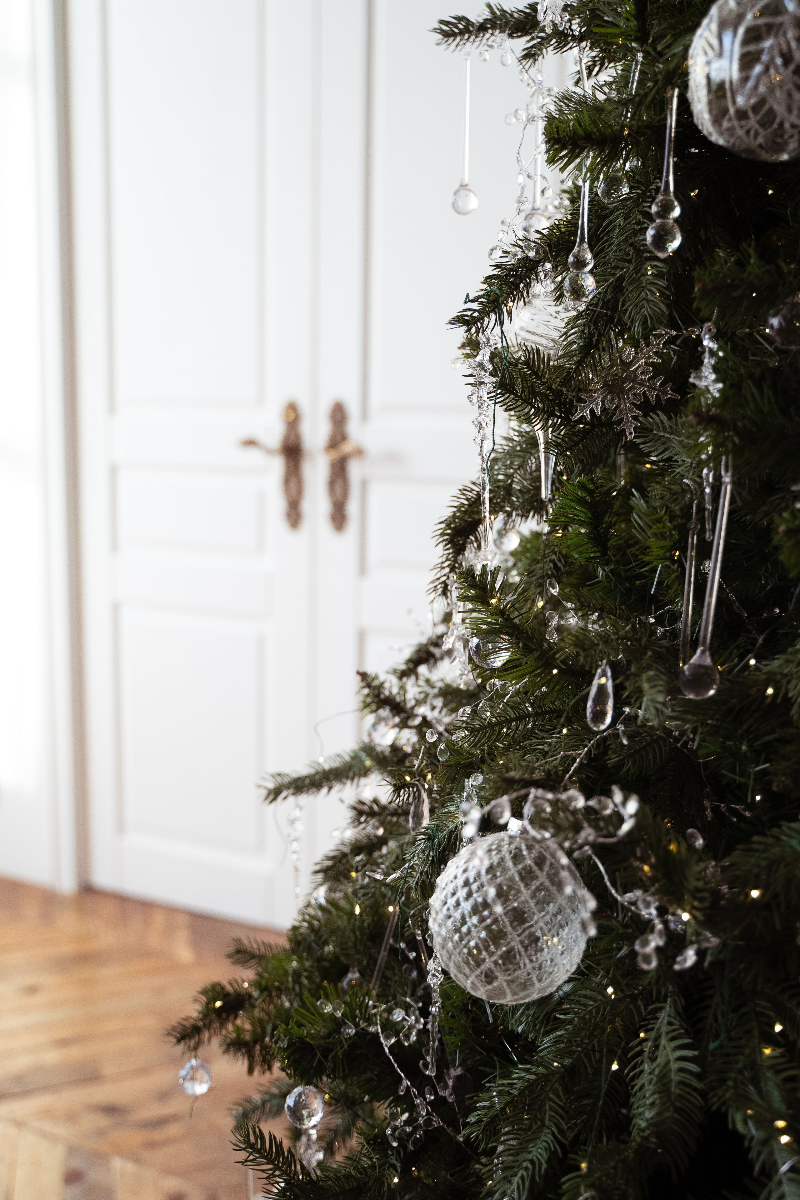 Фотостудии новый год 2025. Профессиональный фотограф Максим Романов в городе Хабаровске