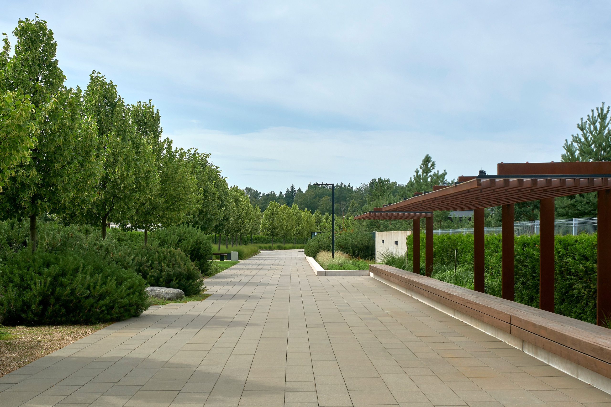 Ландшафтный и интерьерный фотограф Наталья Соловьева. Фотосъемка озеленения территории в КП Репинская Усадьба-4 для ландшафтной студии Аквилегия | interioto