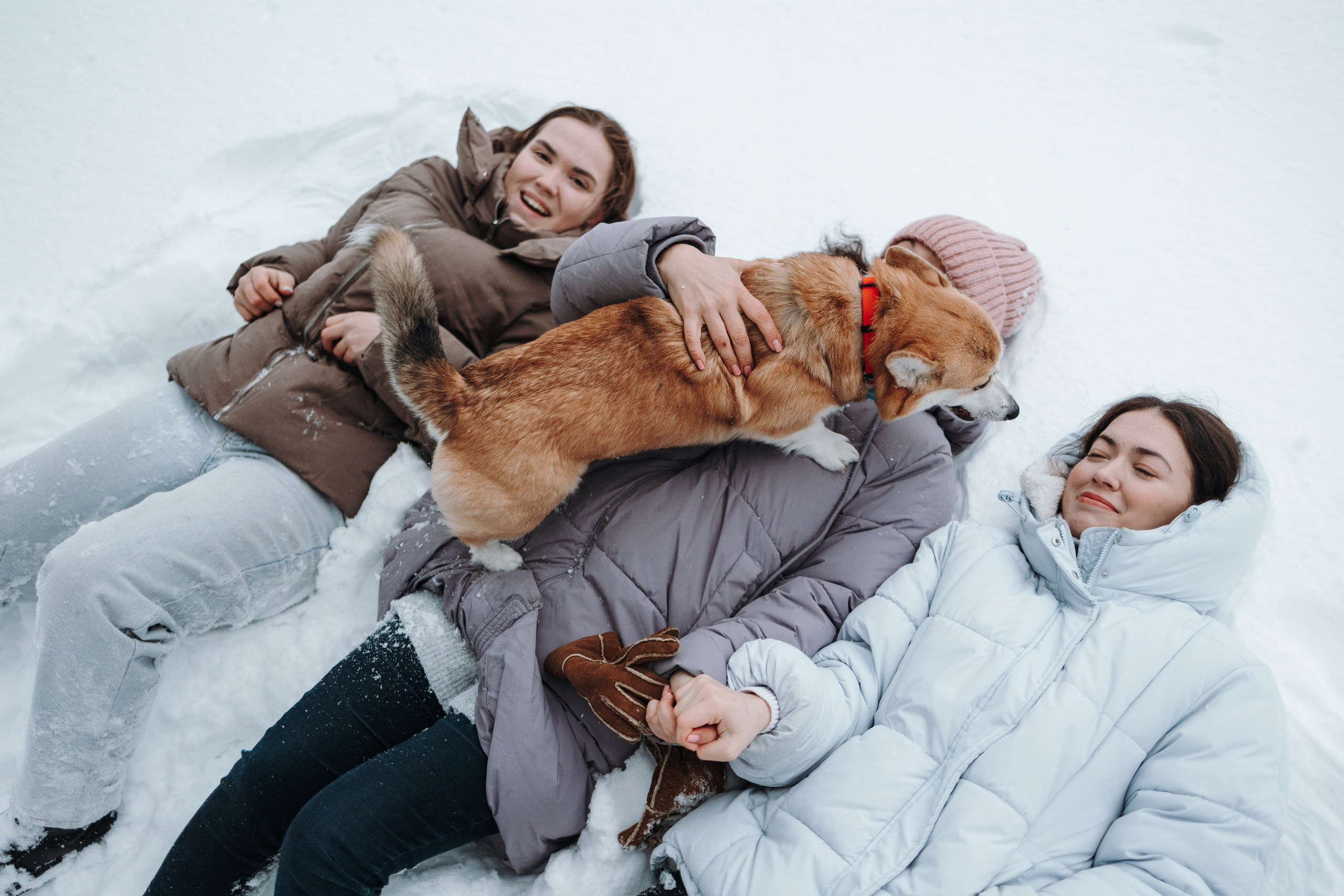 Оливка и ее семья. Фотограф — Анималист | Санкт-Петербург