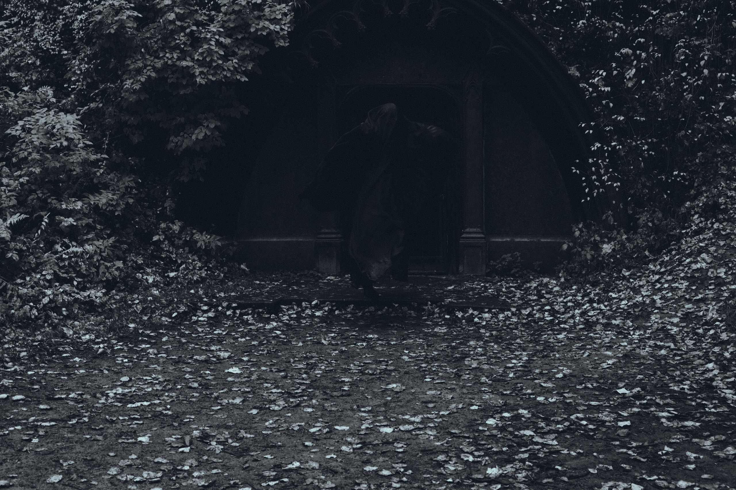 Вдохновление утренним туманом. Ваагн Малхасян | Фотограф | Санкт-Петербург. Создаю атмосферные кадры