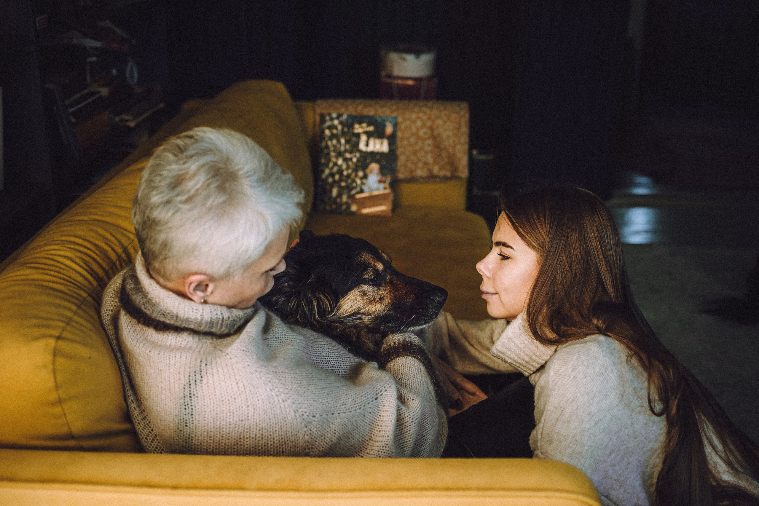 Плюш, Айса и их семья