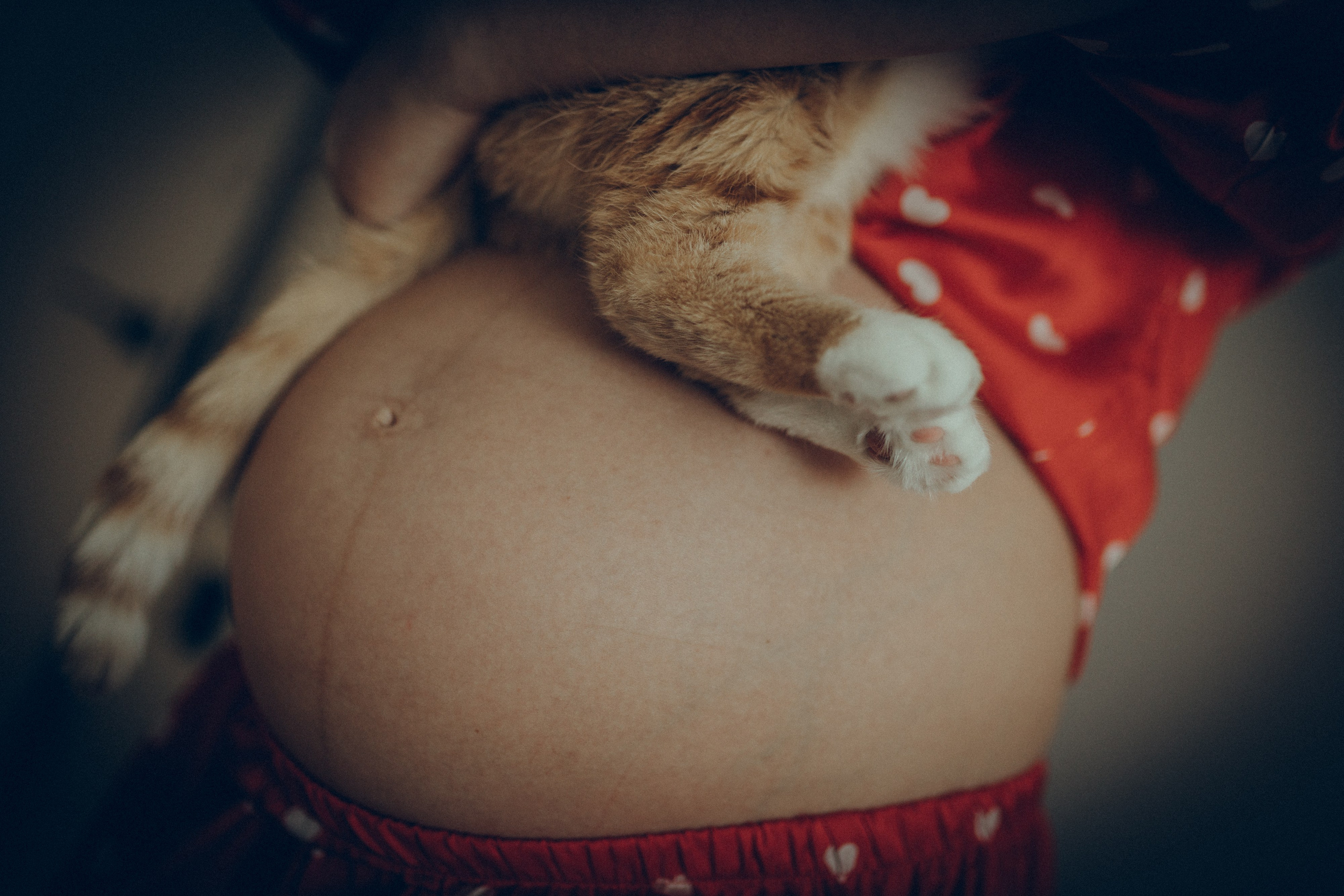 Аня & Кирилл. Семейный фотограф и фотограф на роды в Ростове-на-Дону Мухина Виктория