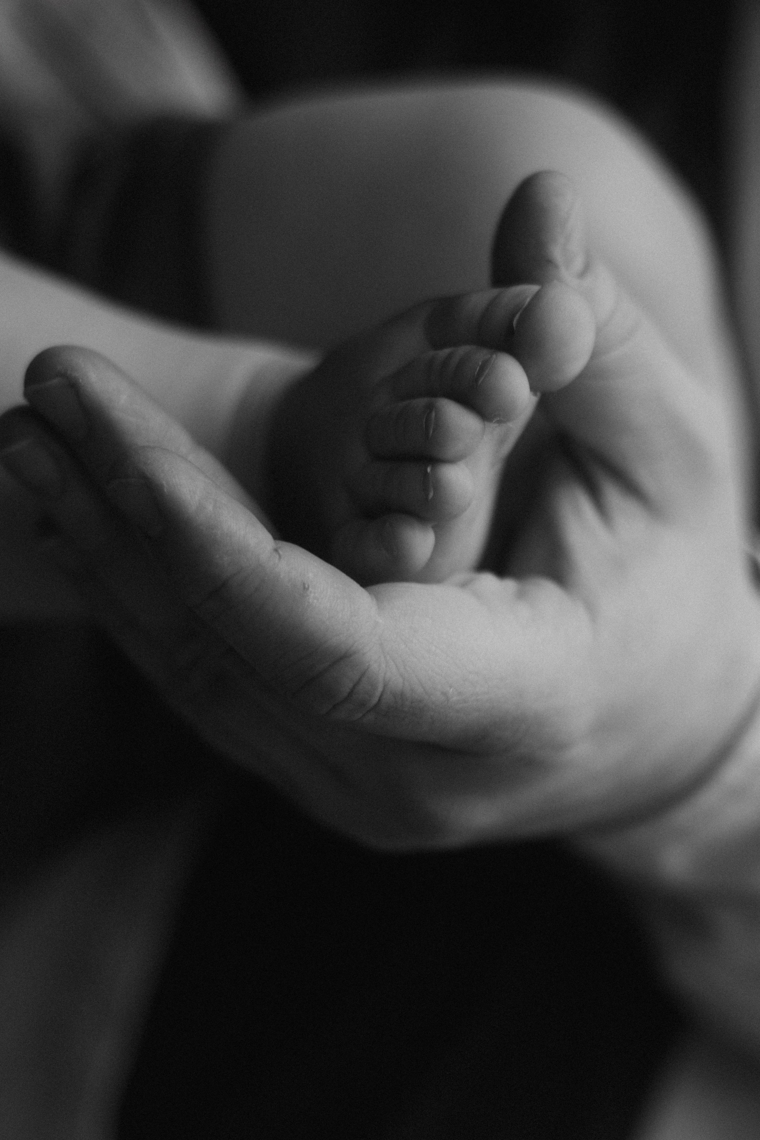 Фотосессия на годик