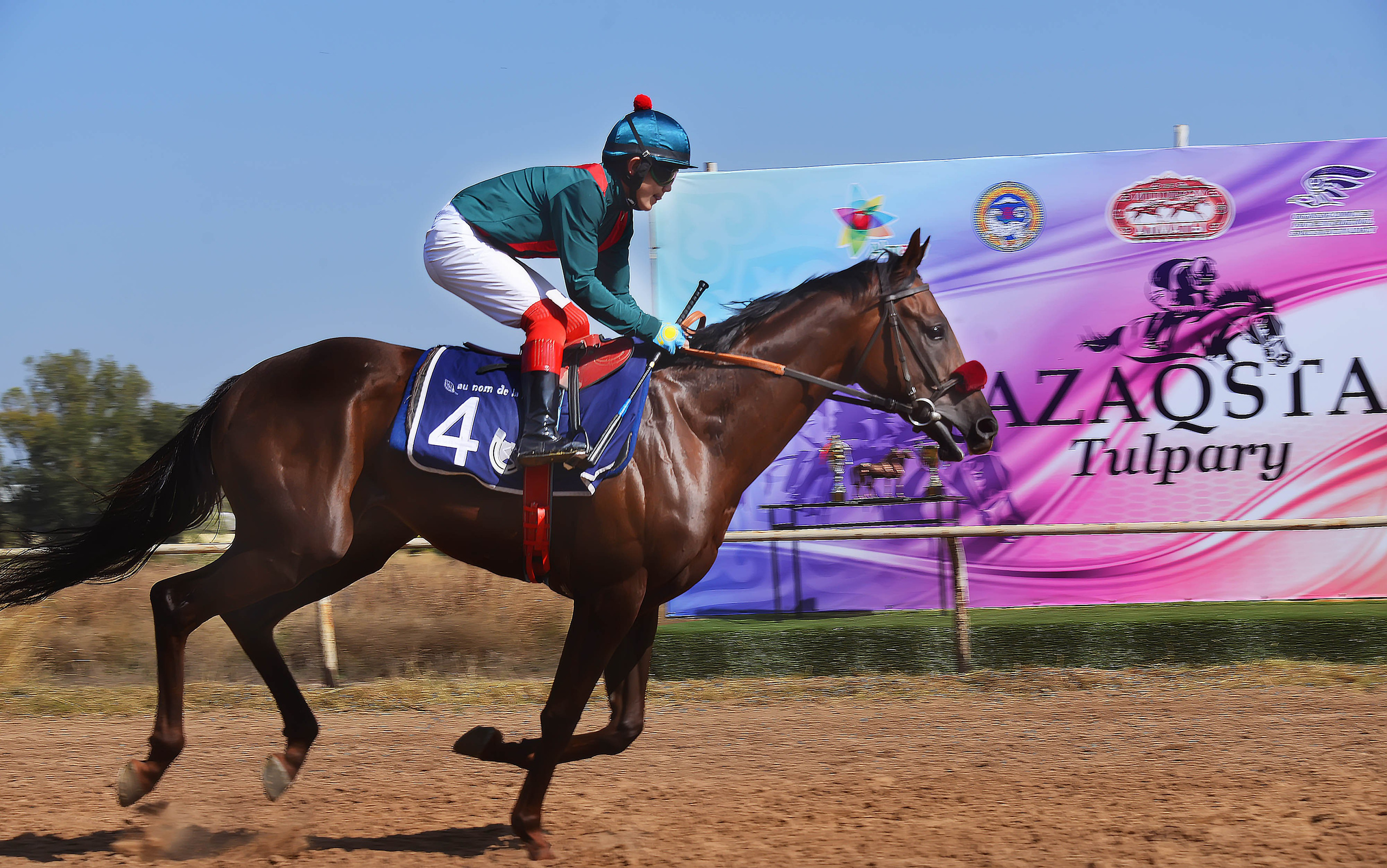 Скачки. Фотосъёмка. Фотограф Сергей Авдеев-семейный и детский фотограф в Алматы