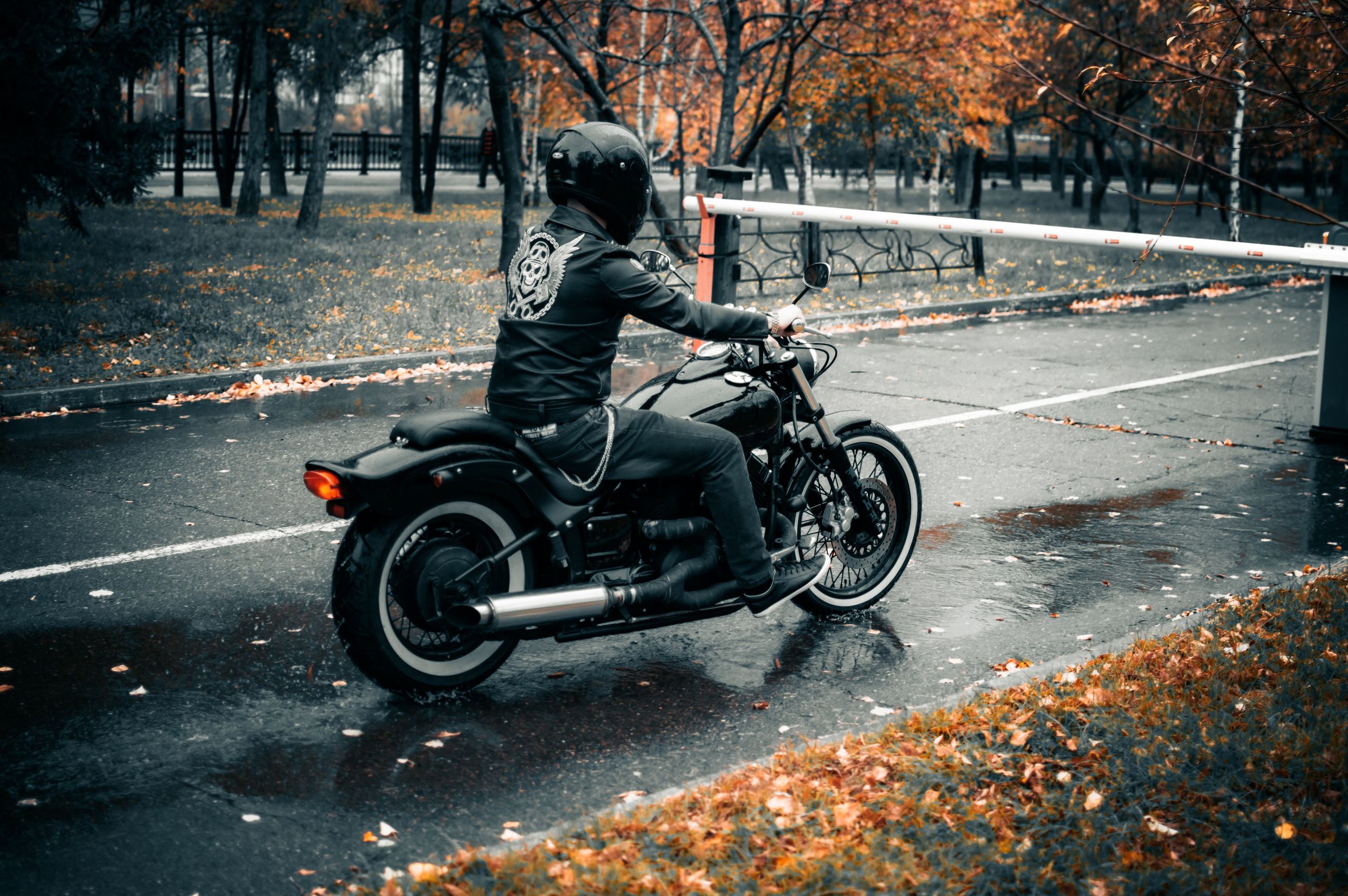 Последние дни осени. G G L V D M T R | Фотограф в Красноярске