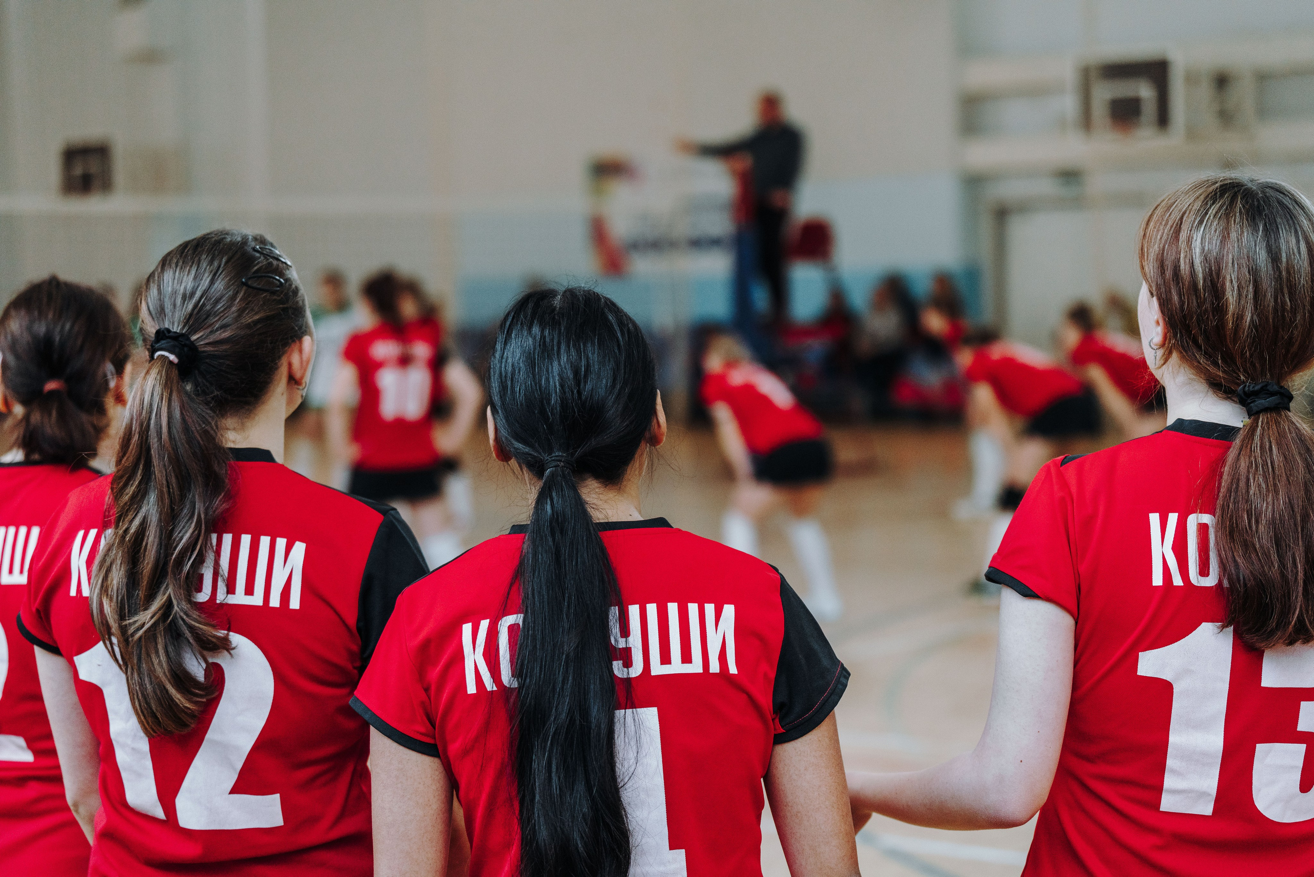 Волейбол торус. Фотограф-анималист в Санкт-Петербурге