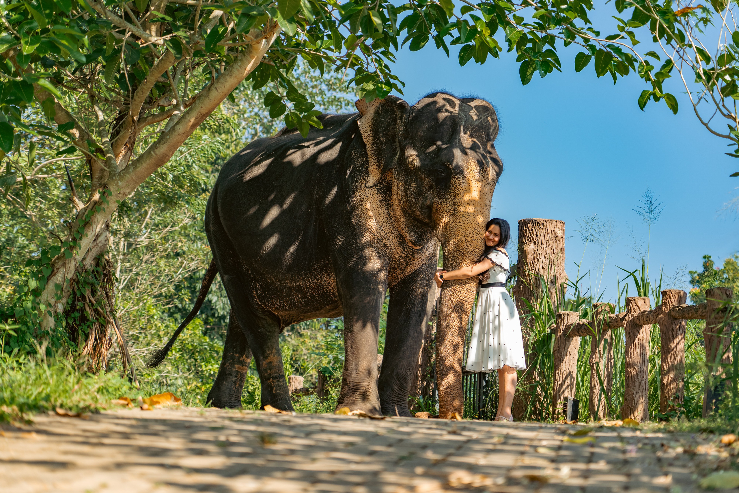 Promo content shooting for Ceylon Forward Tours