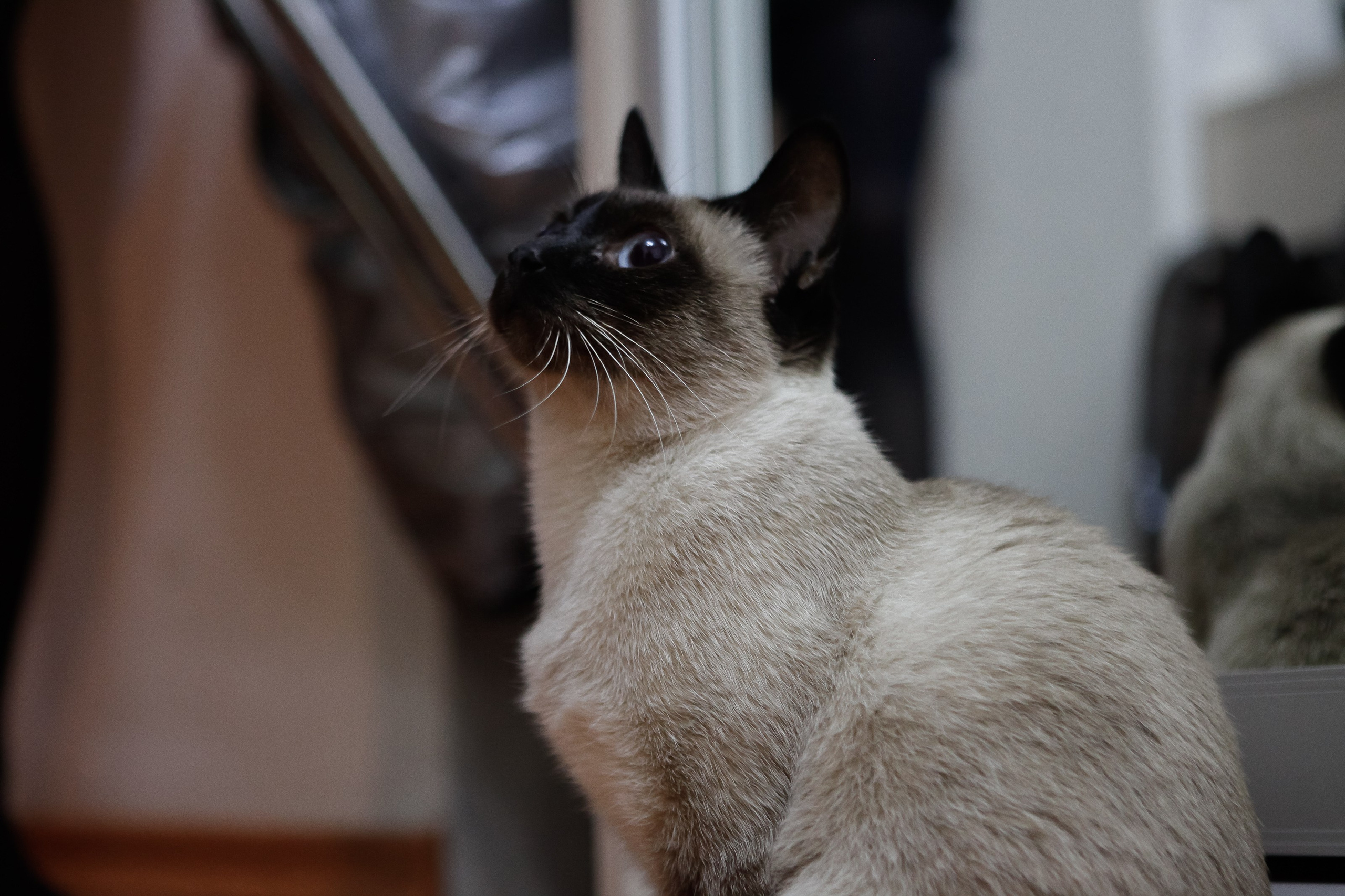 Утро/Morning. Максим Матвийченко и Виктория Басова профессионалы своего дела