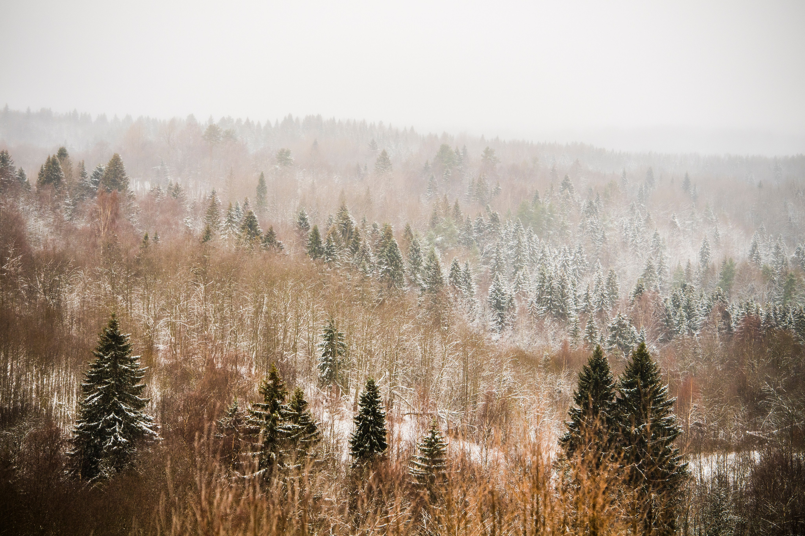 Пейзаж. Документальный фотограф Сергей Вдовин