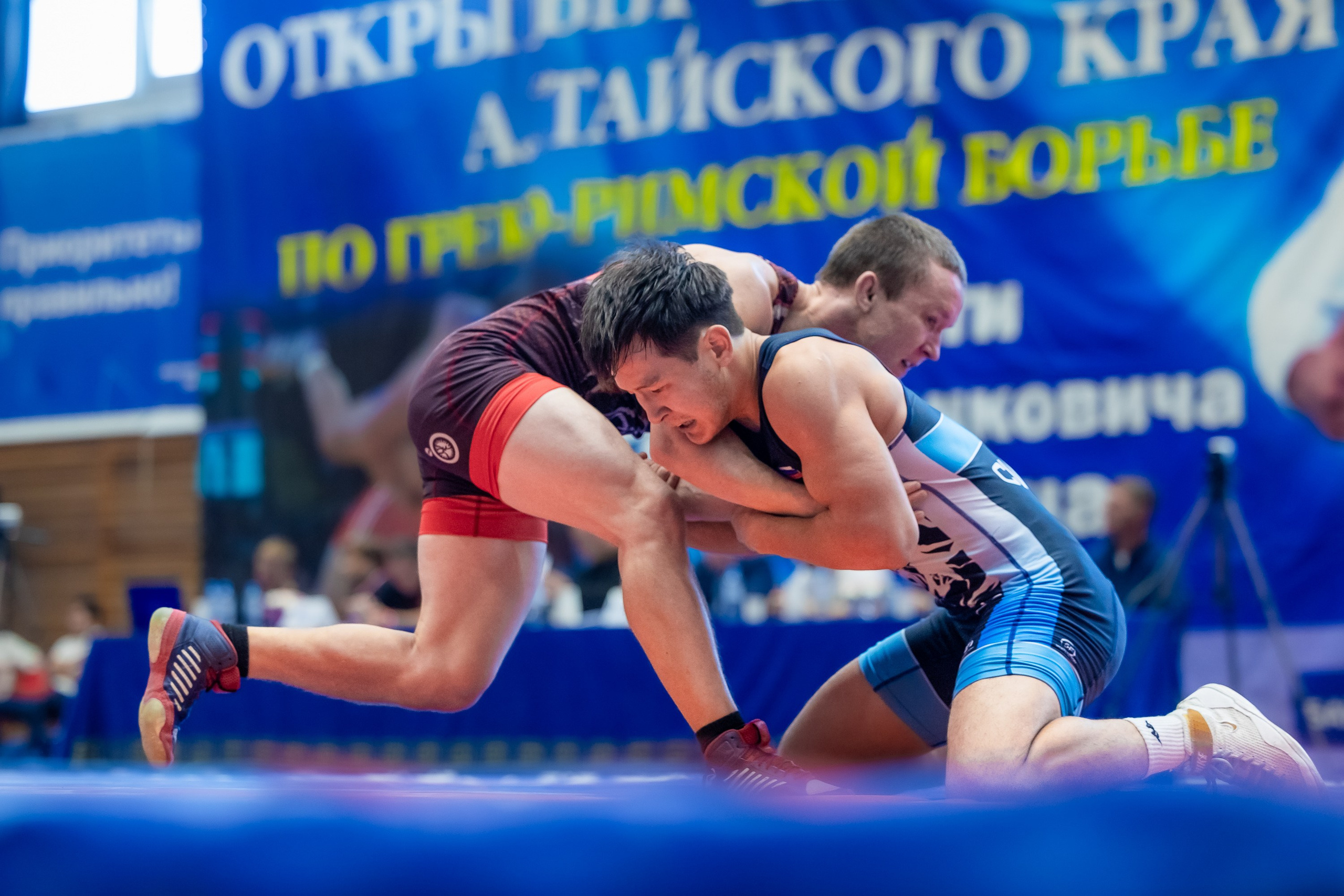 IX чемпионат Алтайского края по греко-римской борьбе. Репортажный фотограф в Барнауле Владимир Игнатов