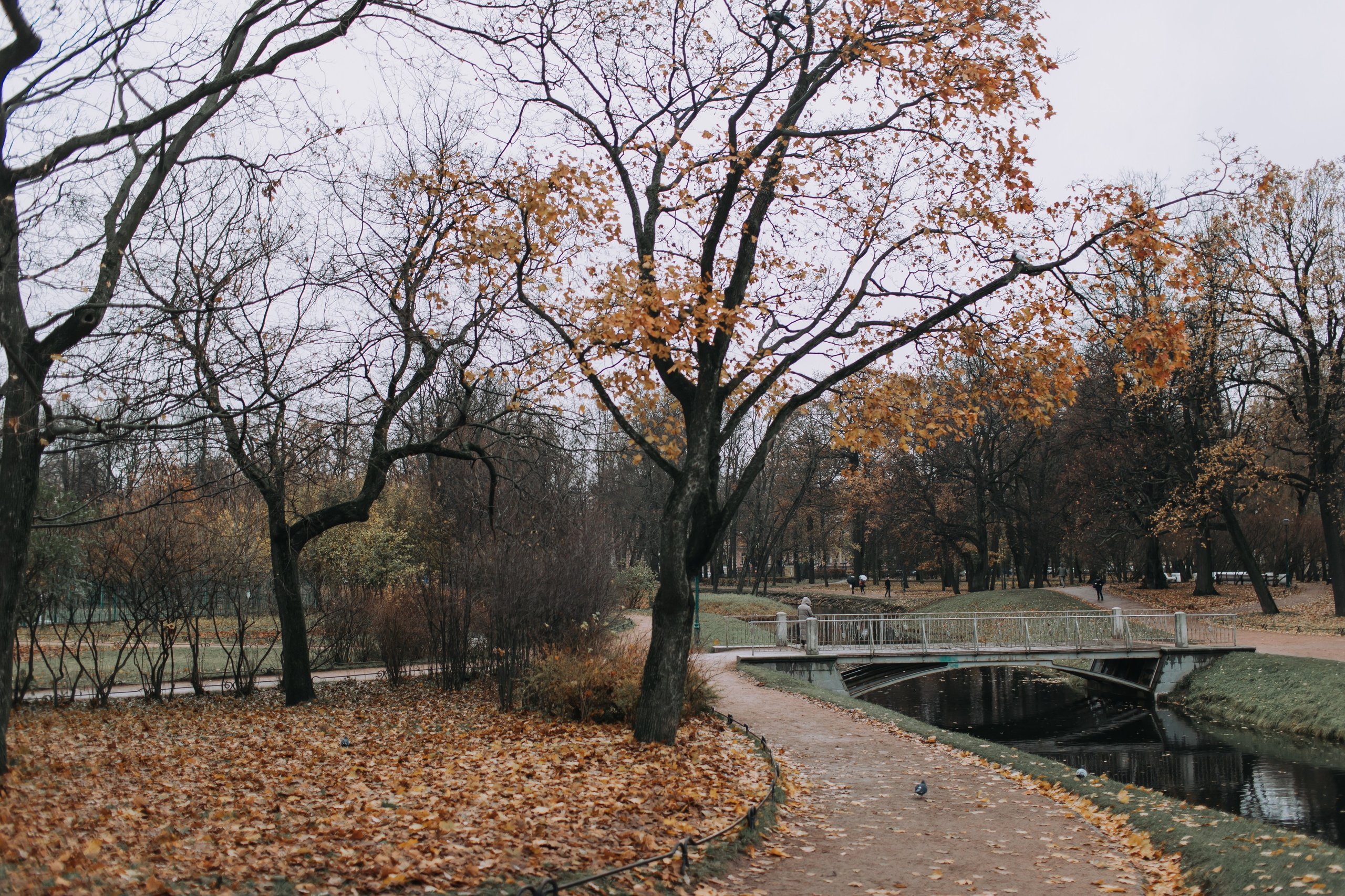 Настя и Крис. Репортажный фотограф Анастасия Головко