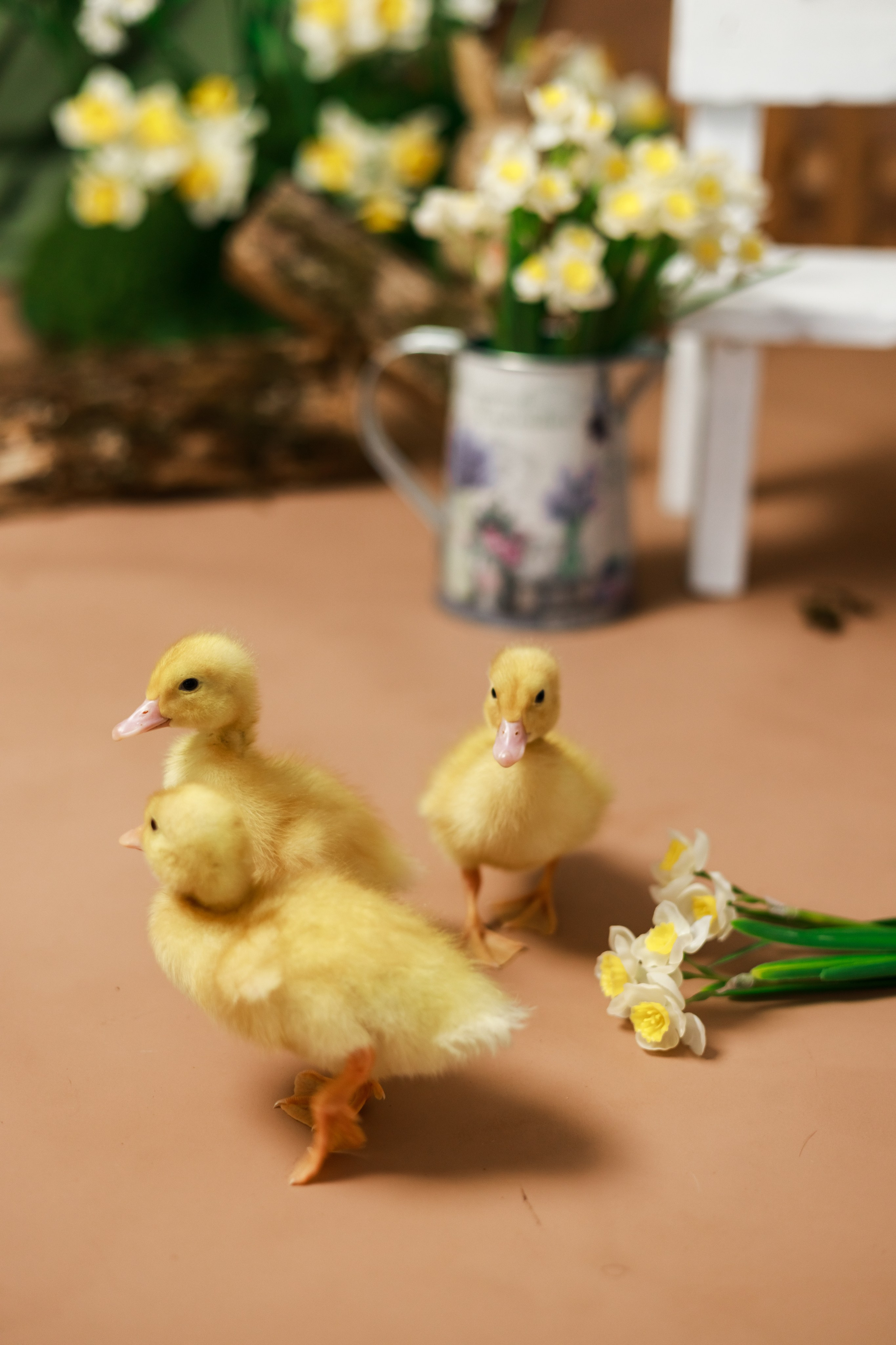 Весна 2026. Детский и семейный фотограф в Краснодаре Альбина Морозова