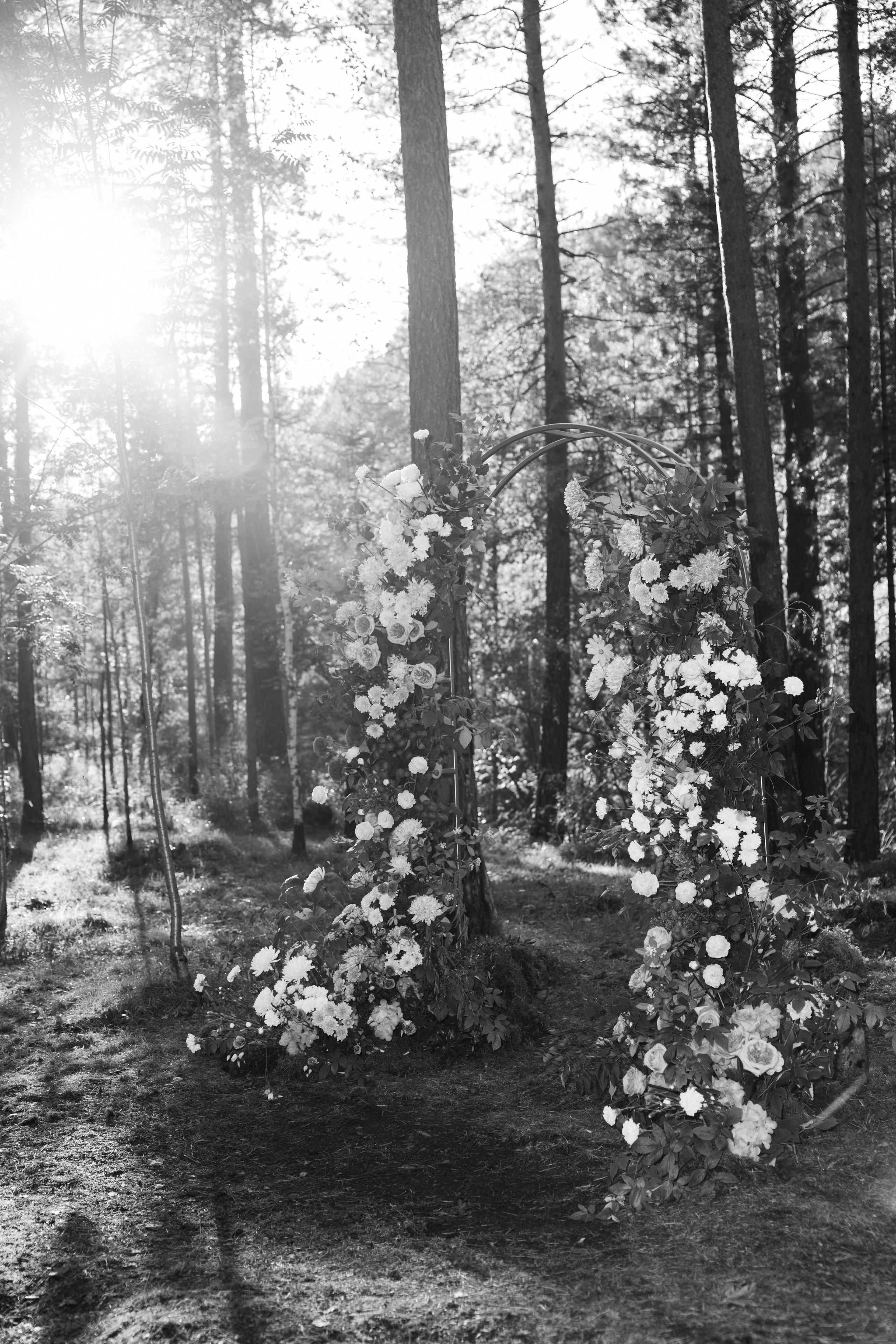 Примеры свадебных съемок. Свадебный фотограф Абакан | Хакасия Никита Бережной