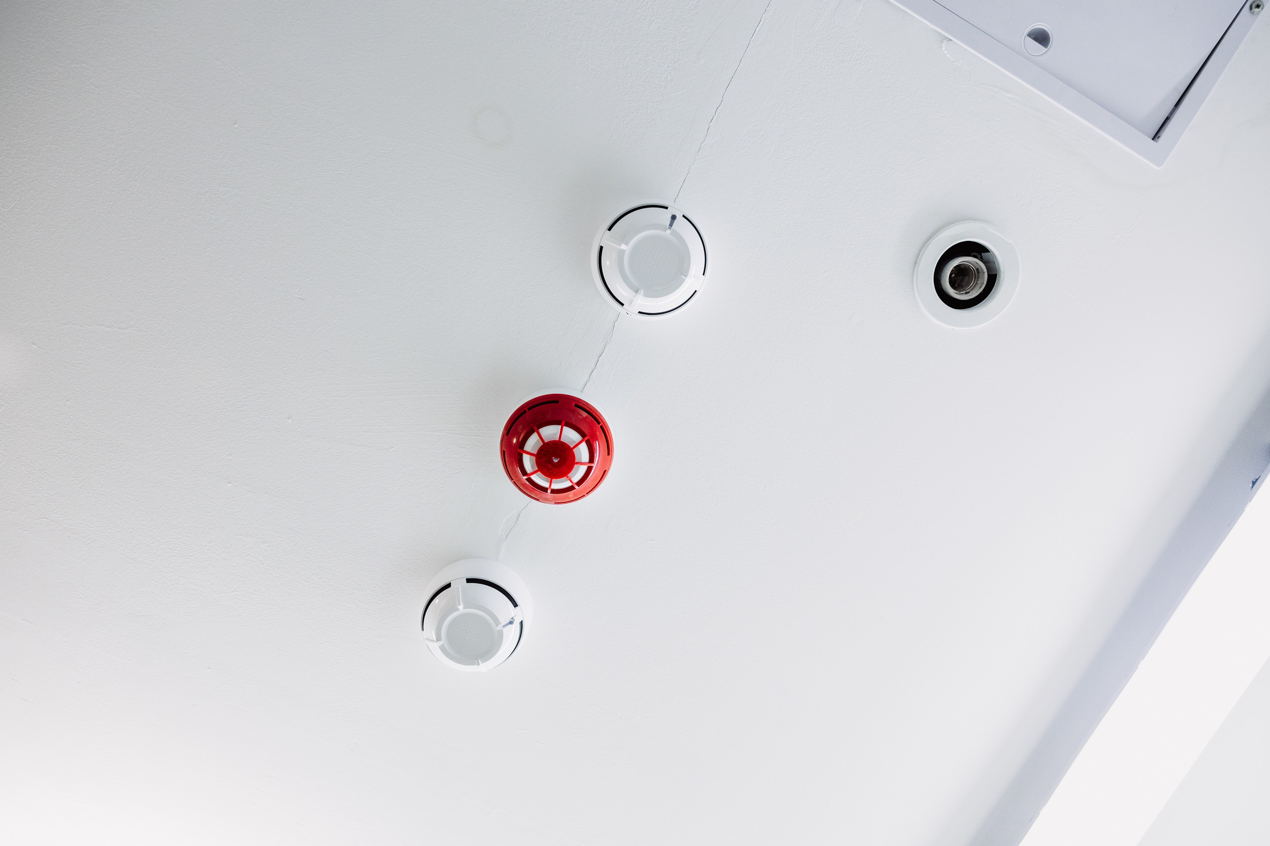 ЧЕБ И РЕК | РИО. ФОТОГРАФ ИРИНА ШАМАТАВА