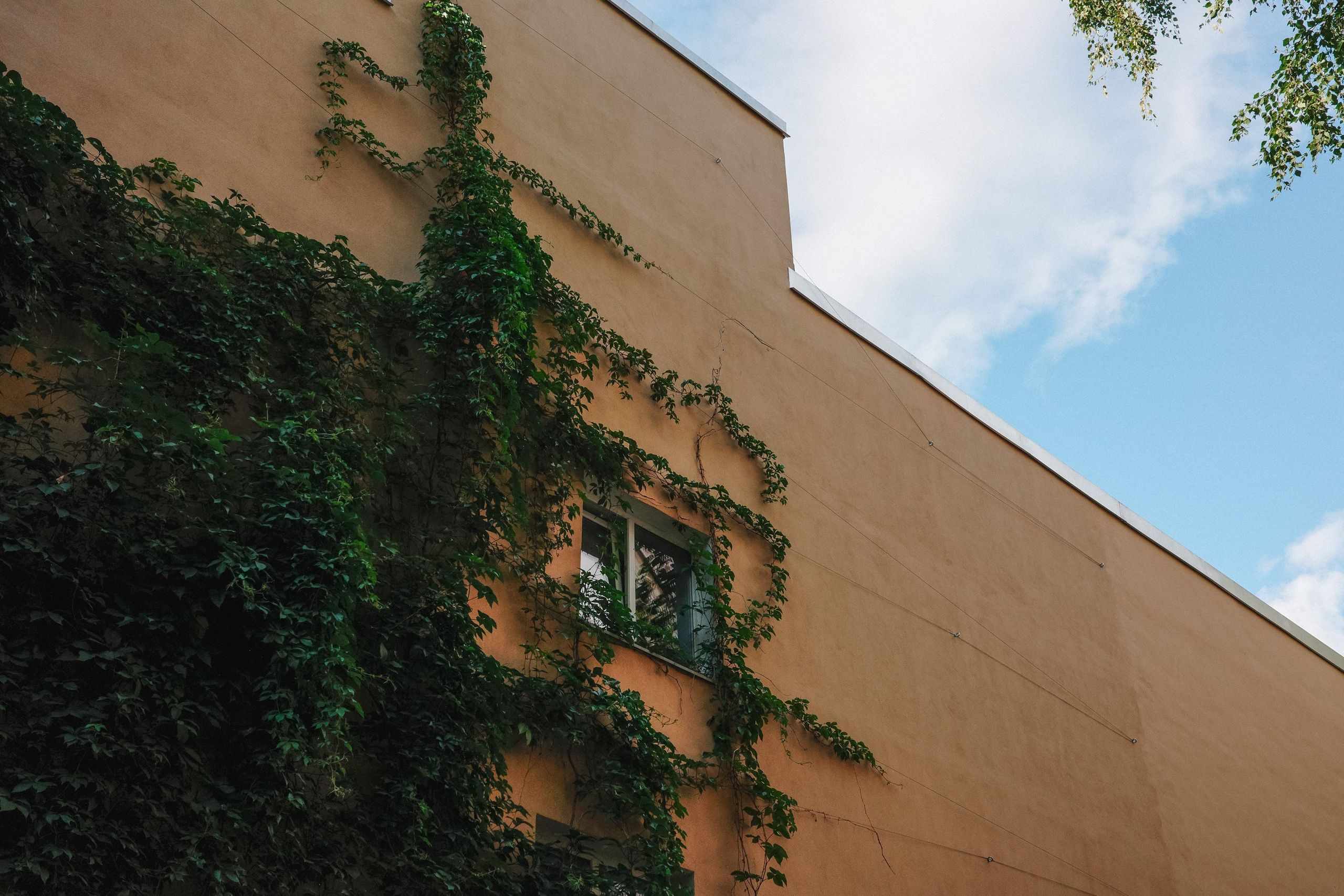 2024.08. Фотограф Алексей Алексеев