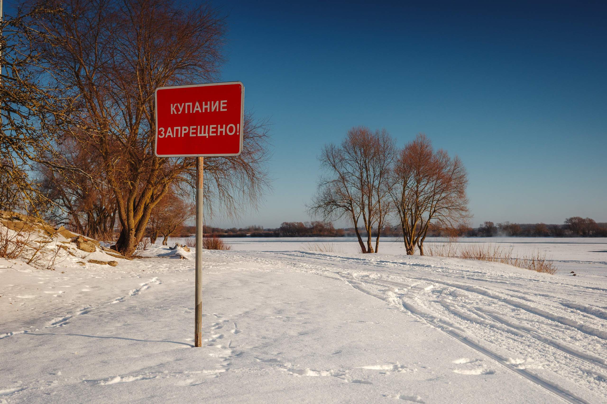 2024.01. Фотограф Алексей Алексеев