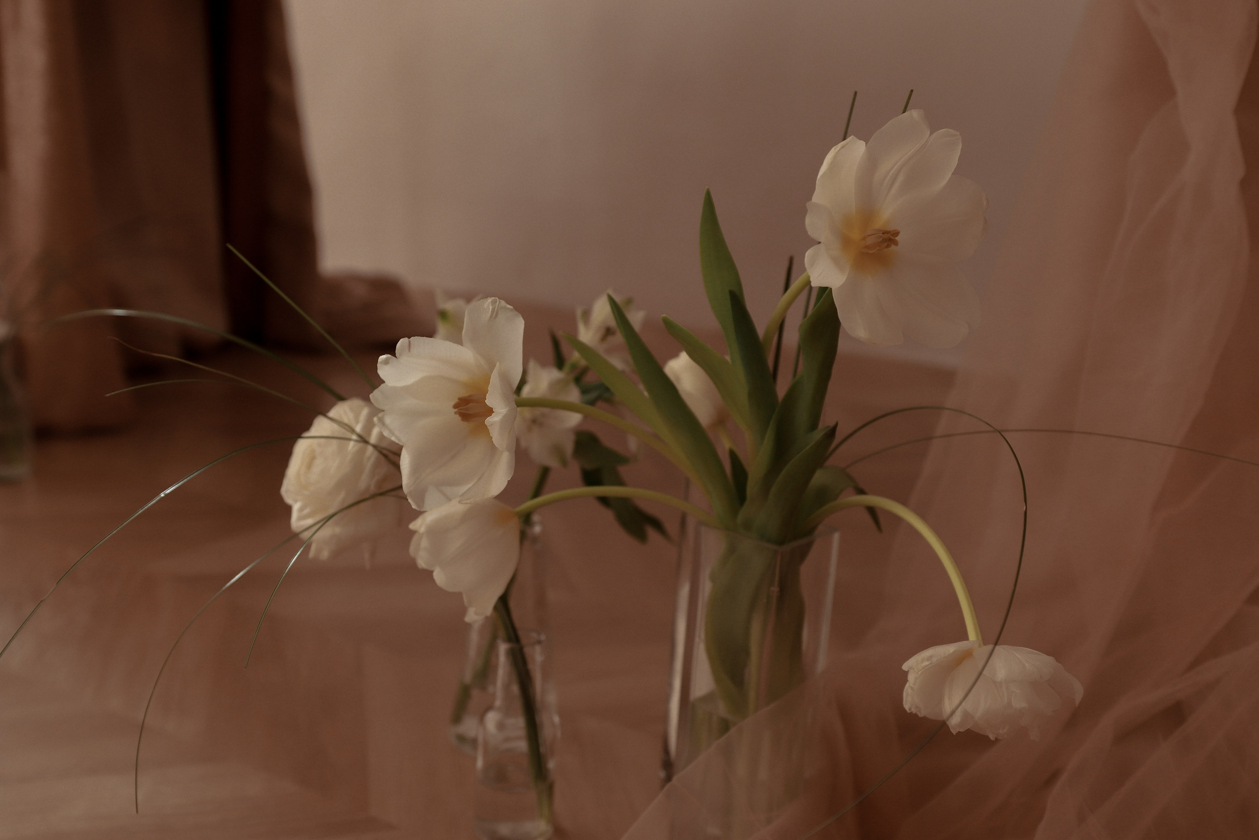 Весенняя любовь. Фотограф Анна Никитина | Йошкар-Ола