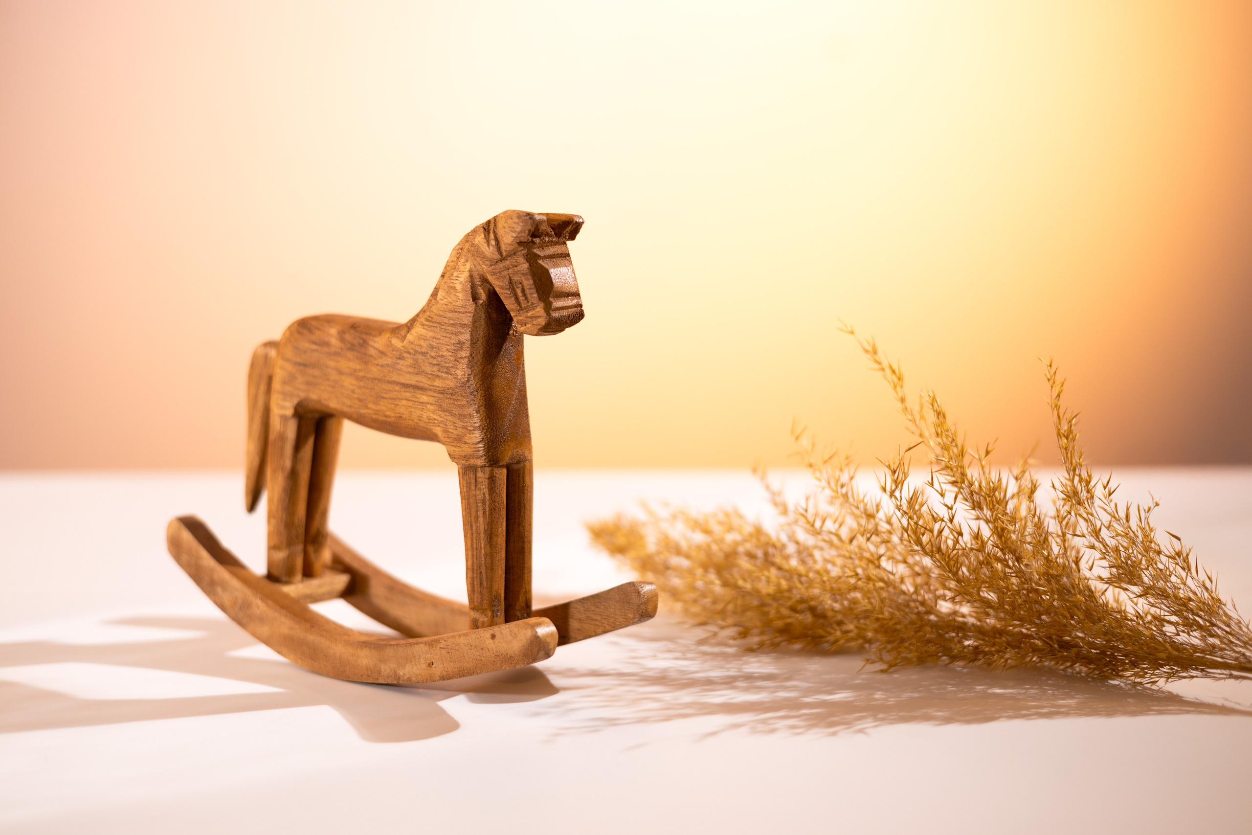 Предметная съёмка в Алматы — фотограф для товаров и каталога. Фотограф Алматы