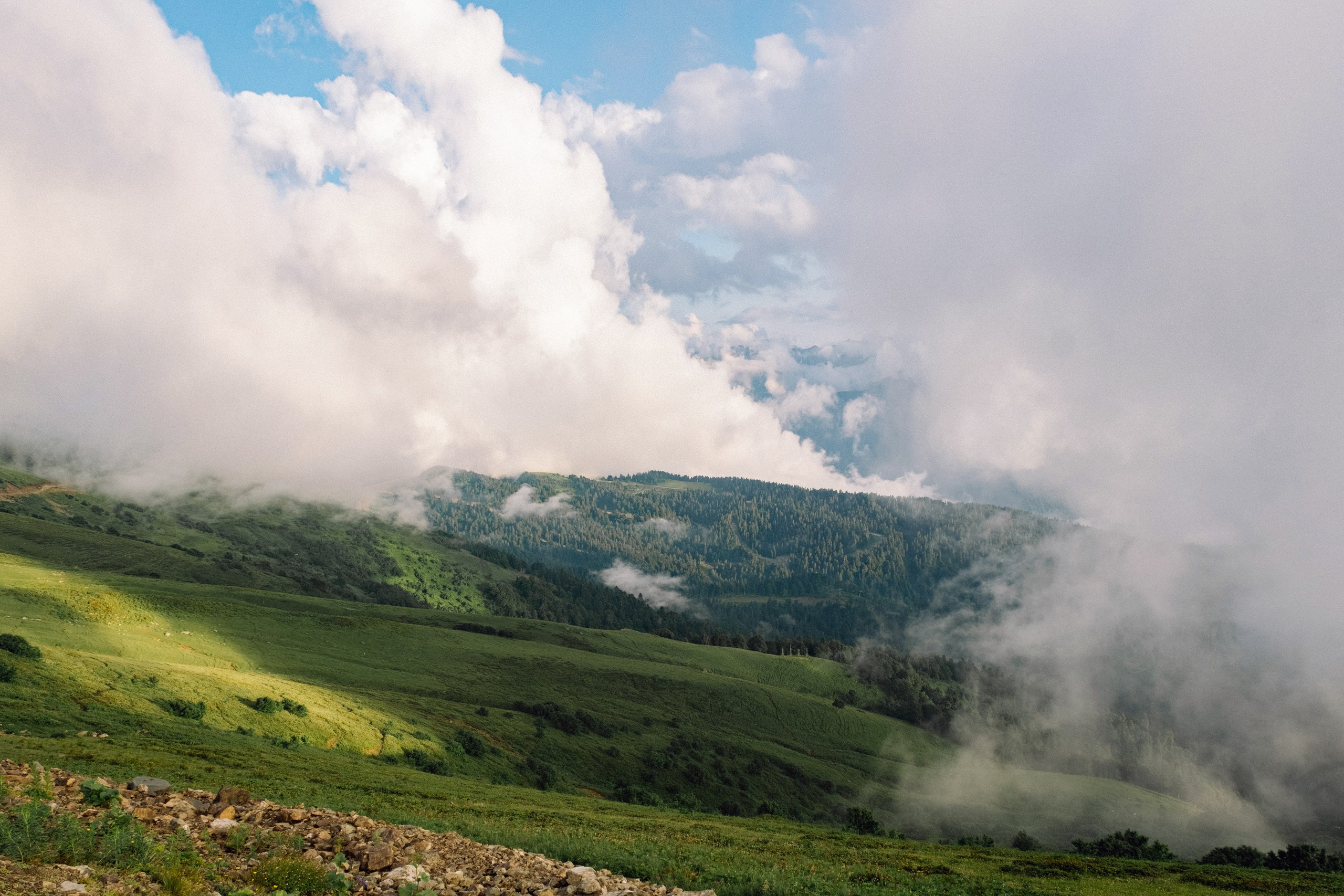 Оля / Слава. Свадебный Видеограф Фотограф в Сочи