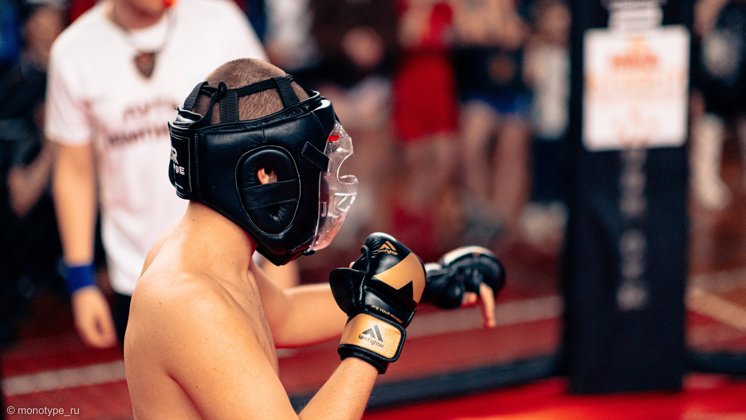 MMA. Бойцовский турнир