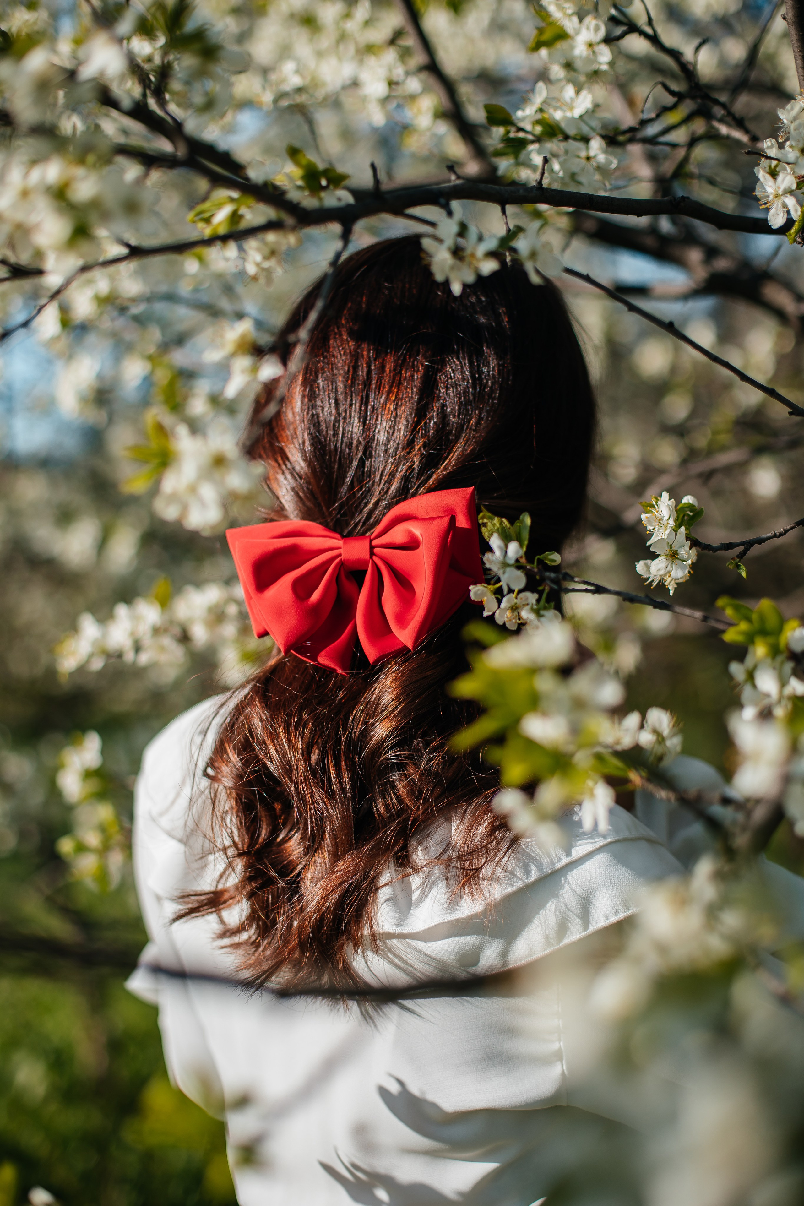 Вишня. Анастасия Давыдова