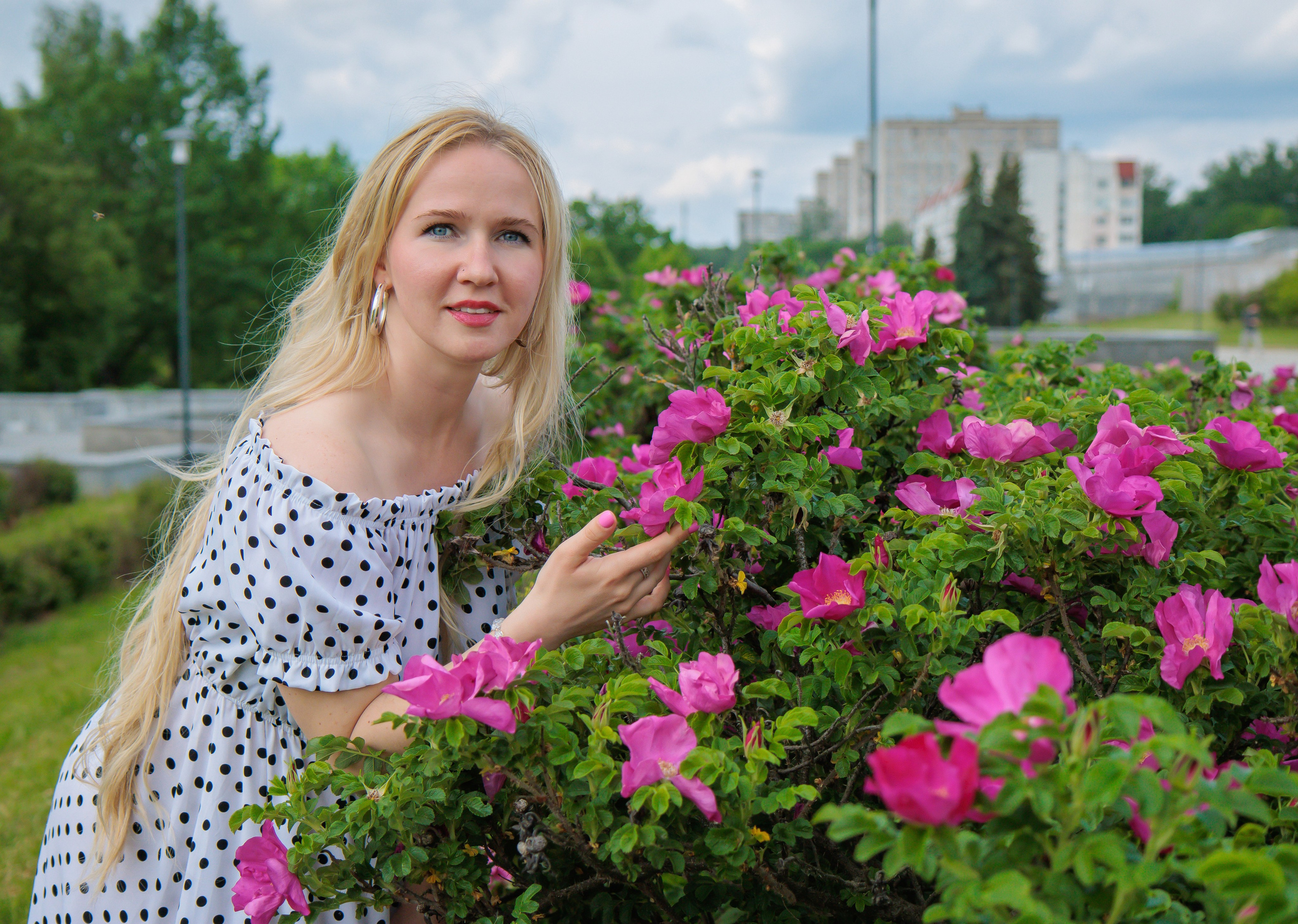 Сиреневые этюды. Фотография Елена