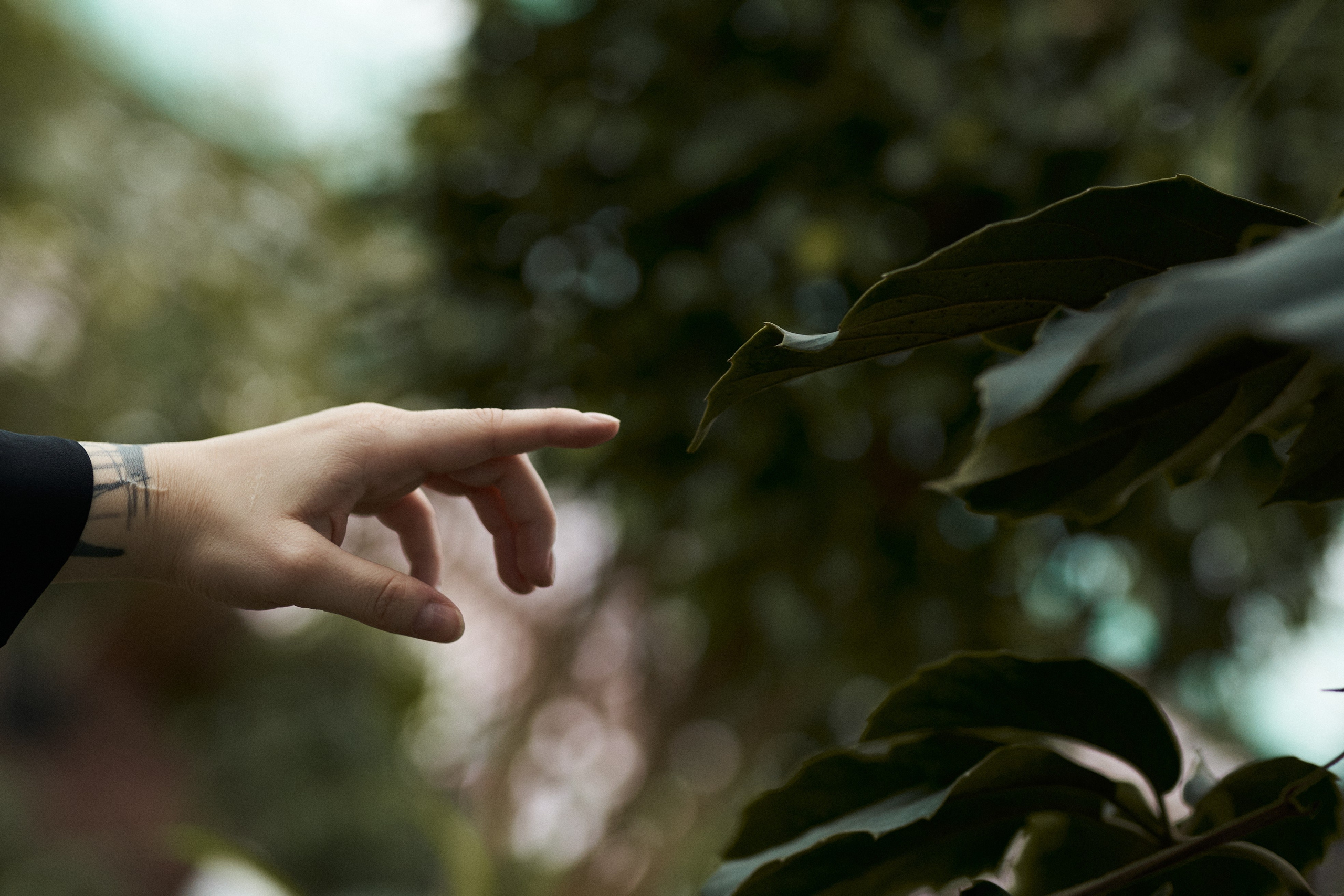 Wild Les. Александр Сазонов Красноярск