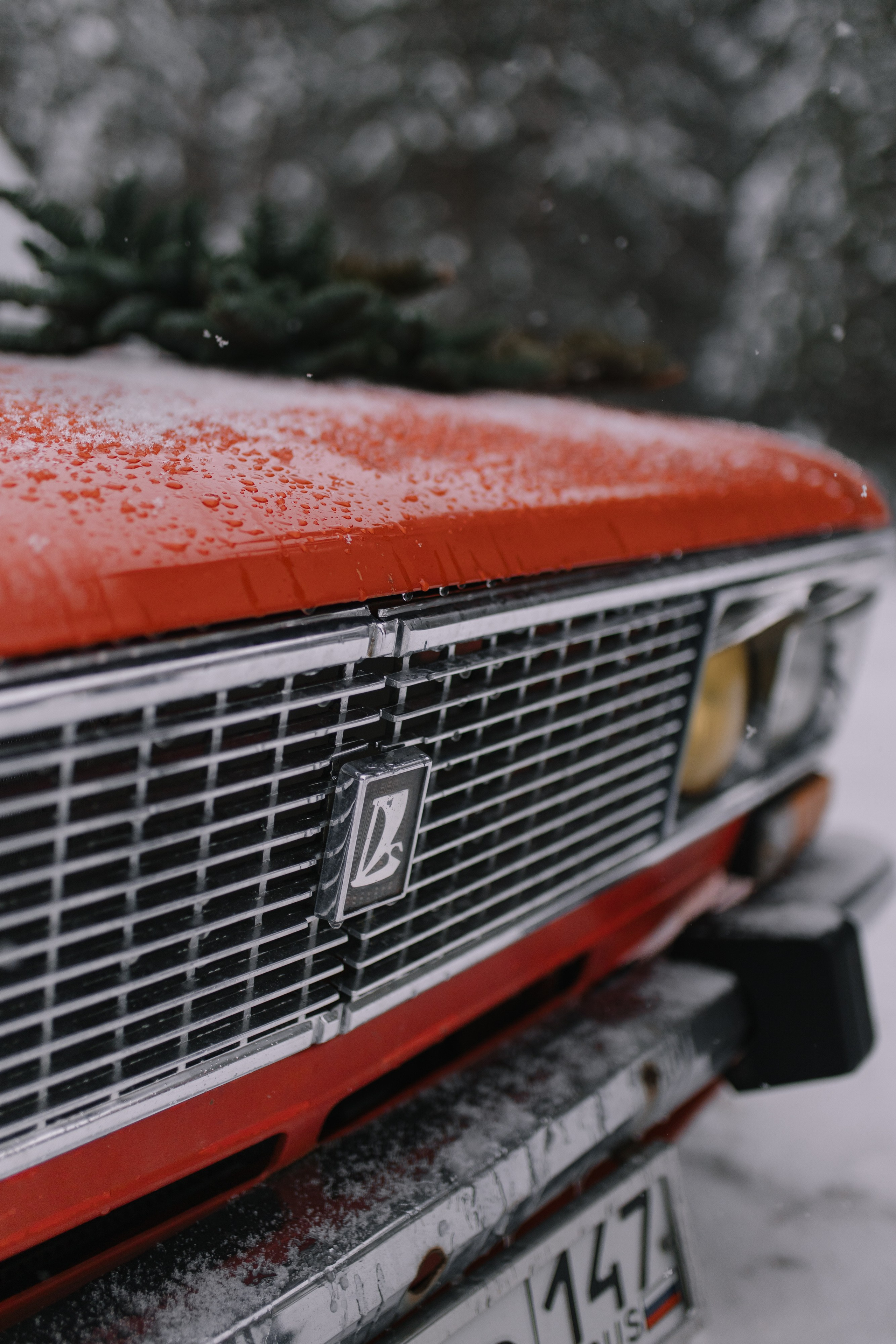 Степан & Лилия