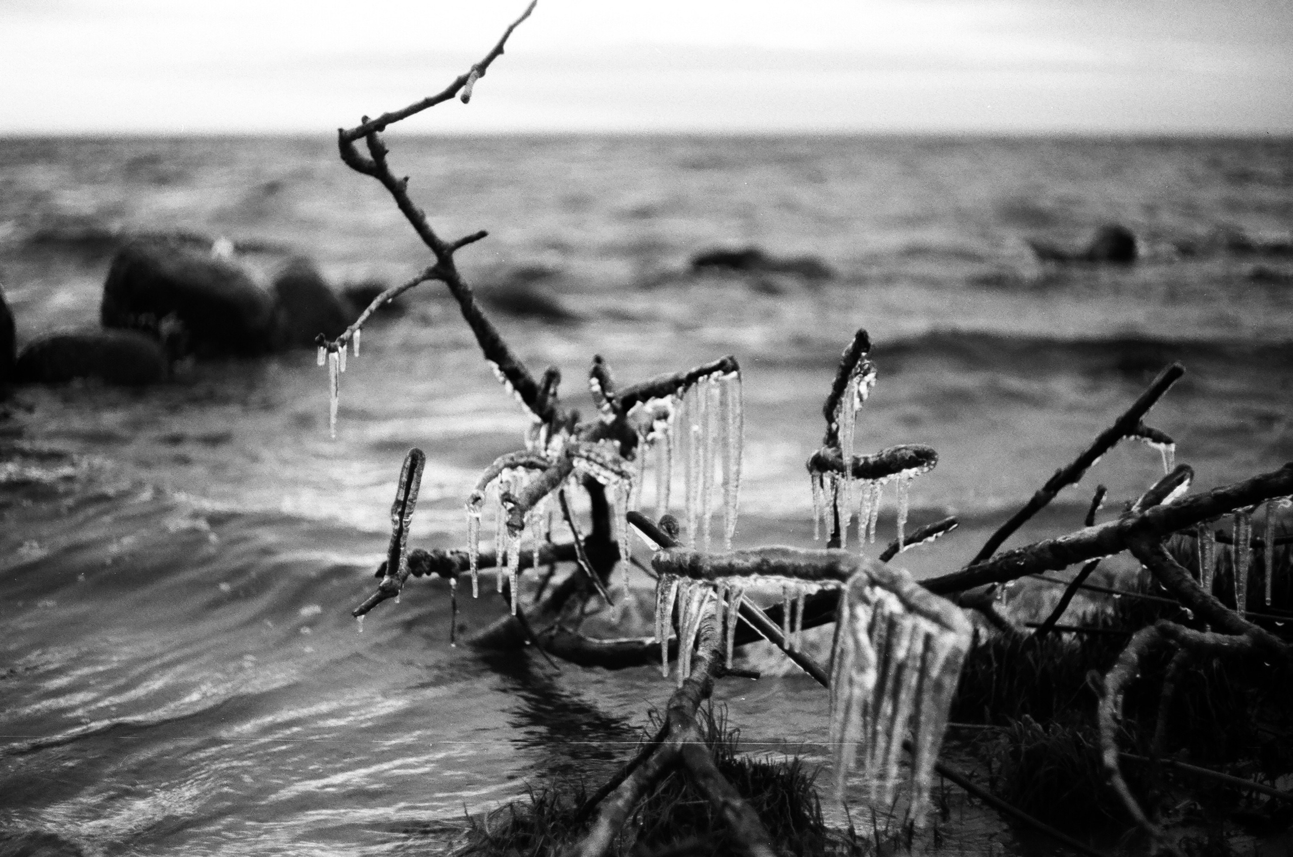 Натура. Фотограф — Маслеников Константин