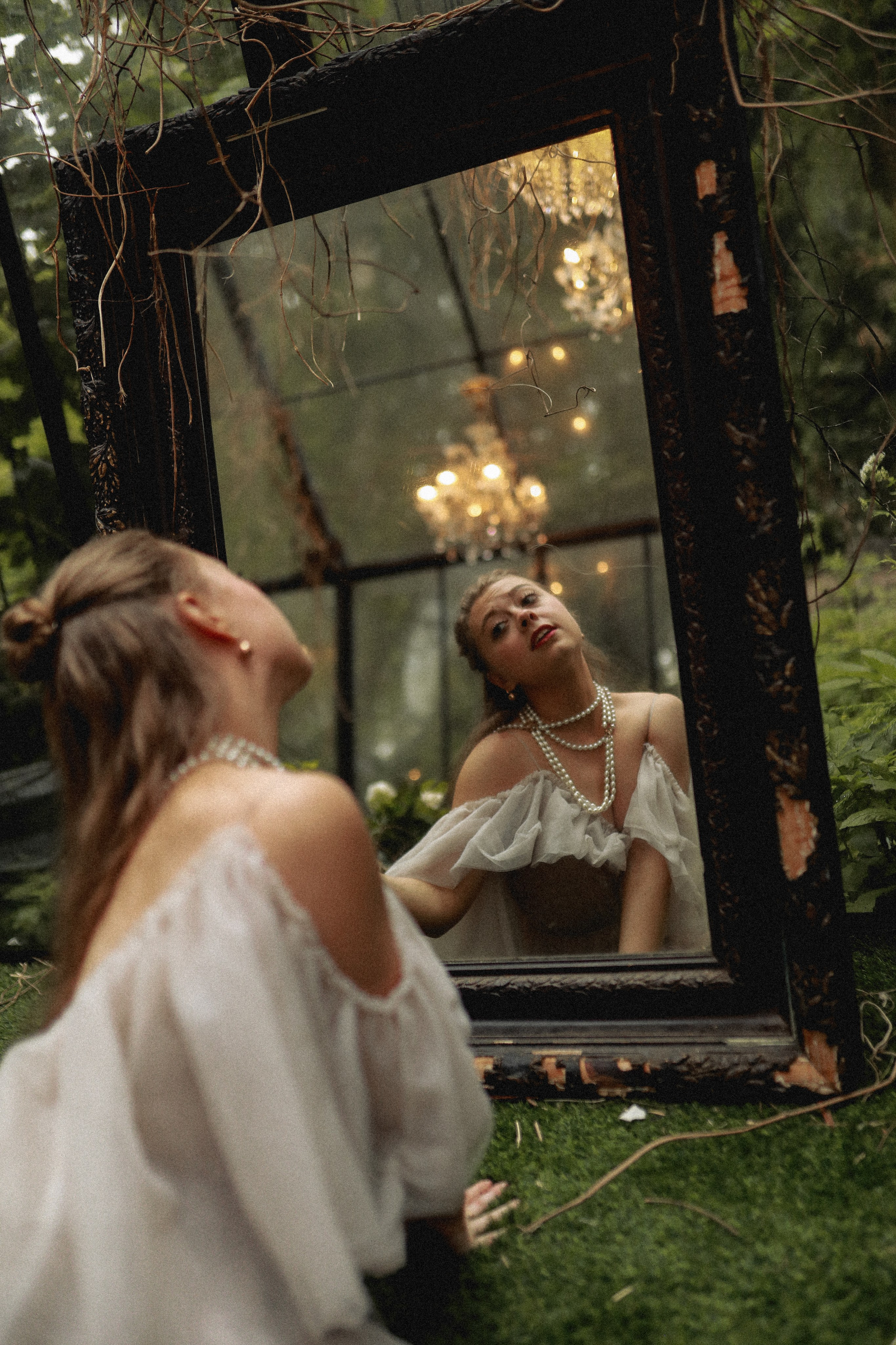 Зачарованный лес