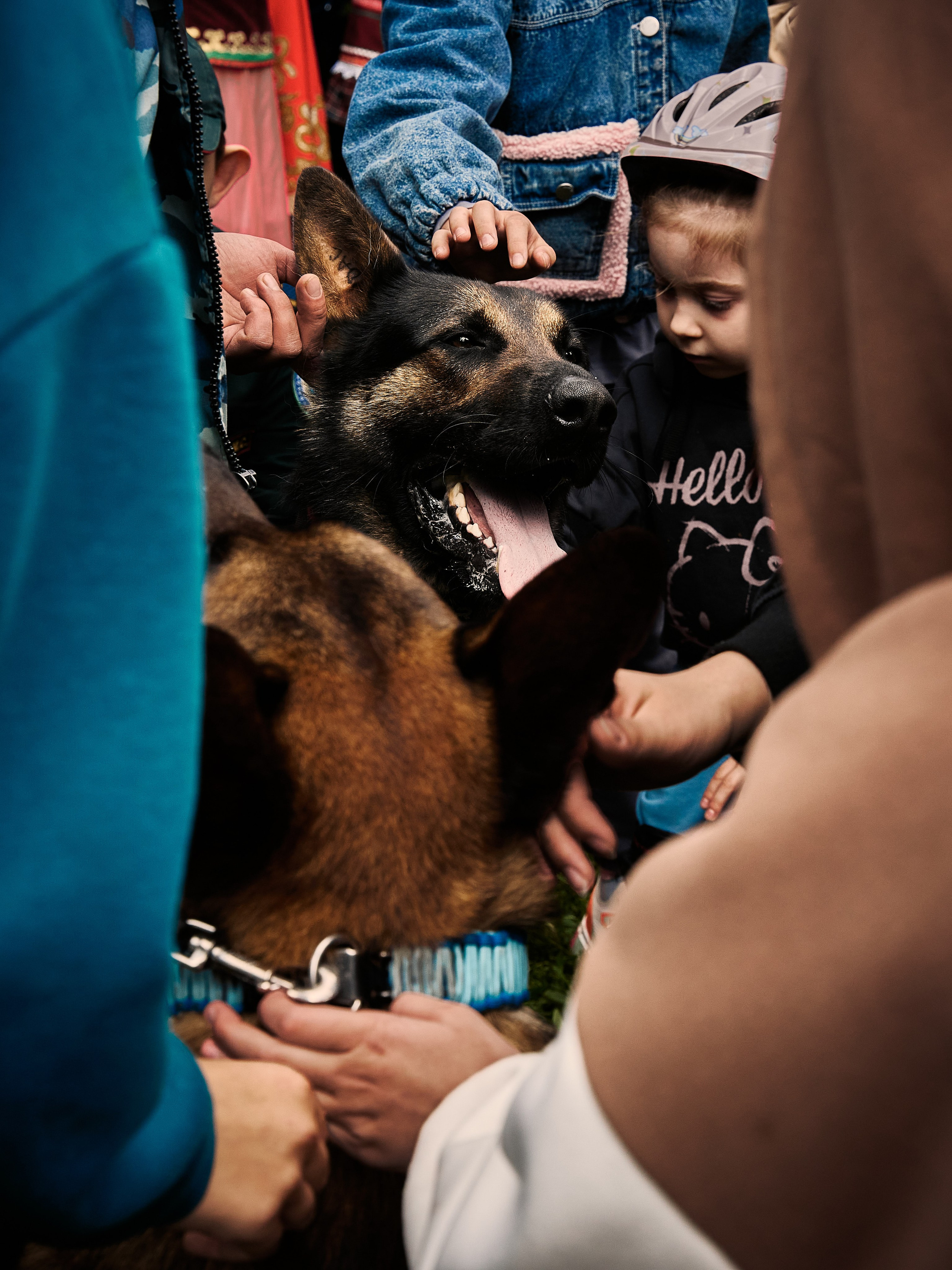 Репортаж с выступления конной полиции. Фотограф в Москве Анастасия Баева