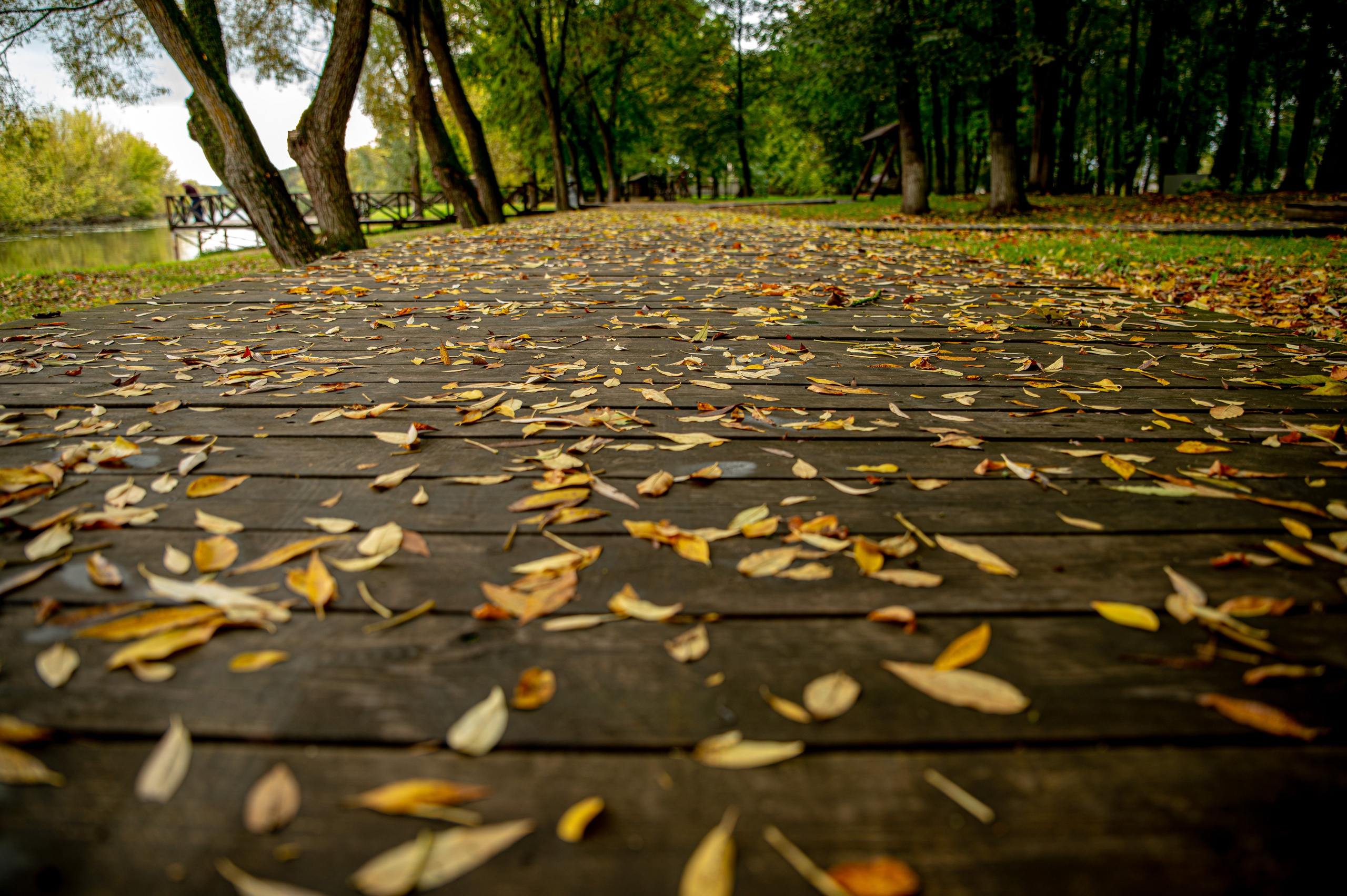 Прогулки