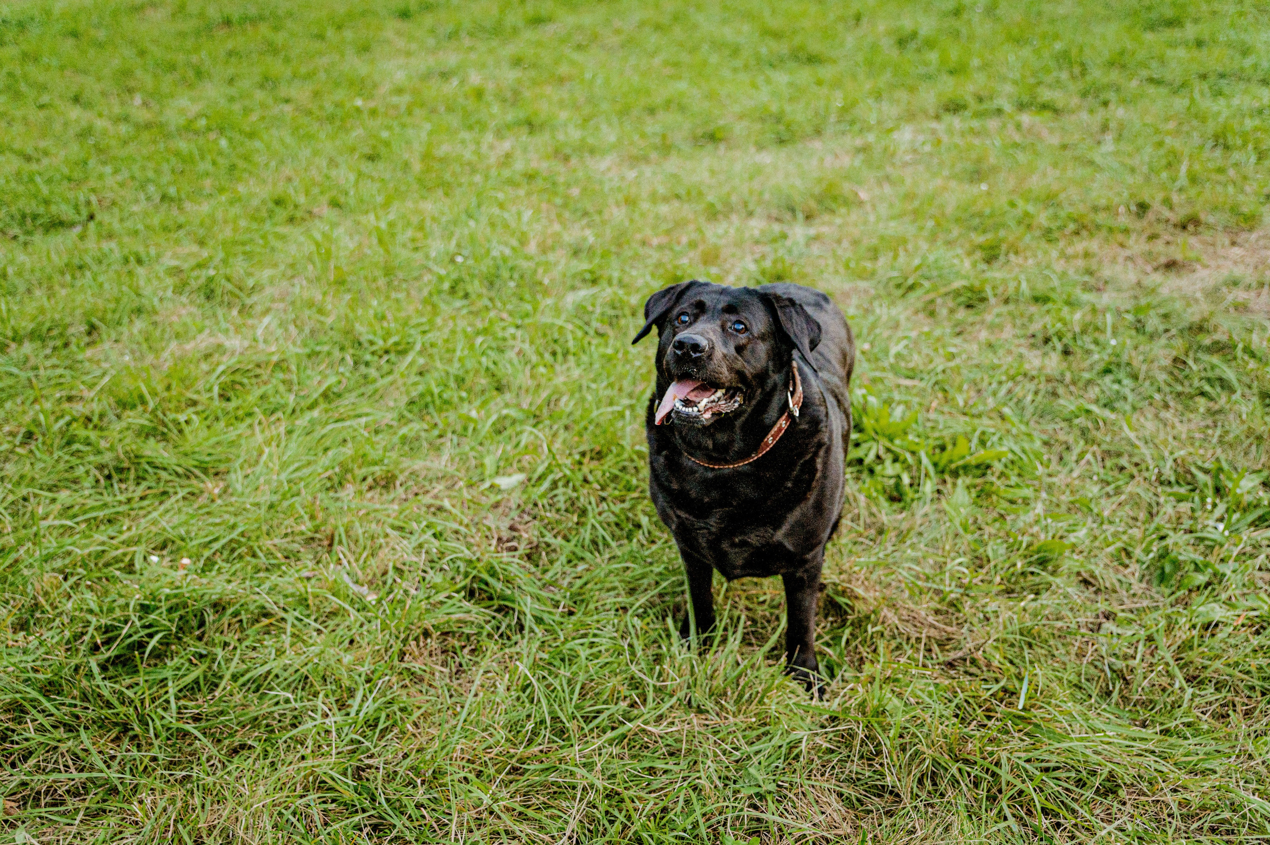 Прогулки. Фотограф в Беларуси