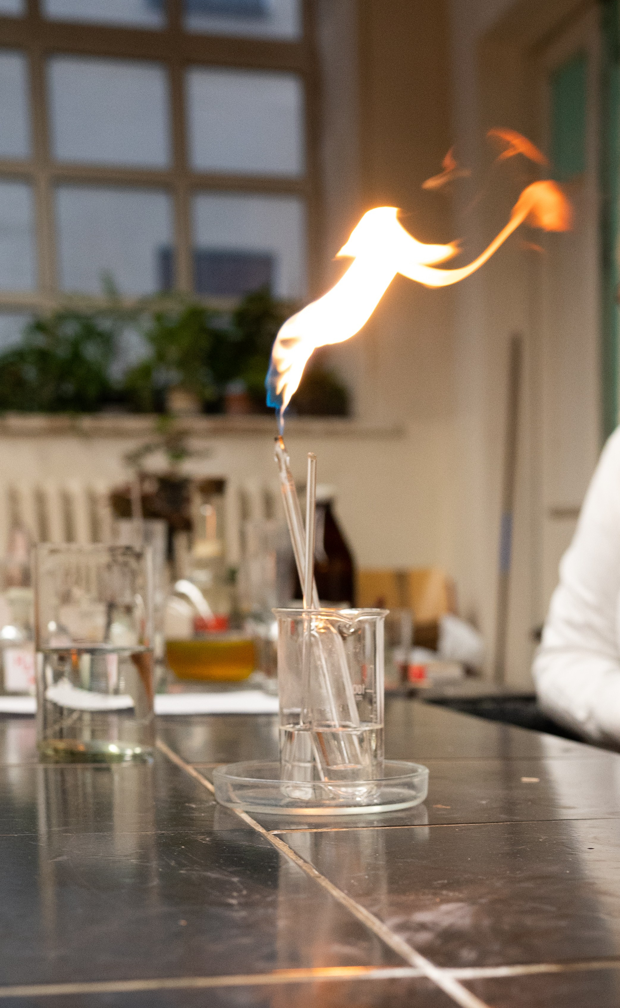 День открытых дверей. Фотограф в Санкт-Петербурге Anna Balashkova