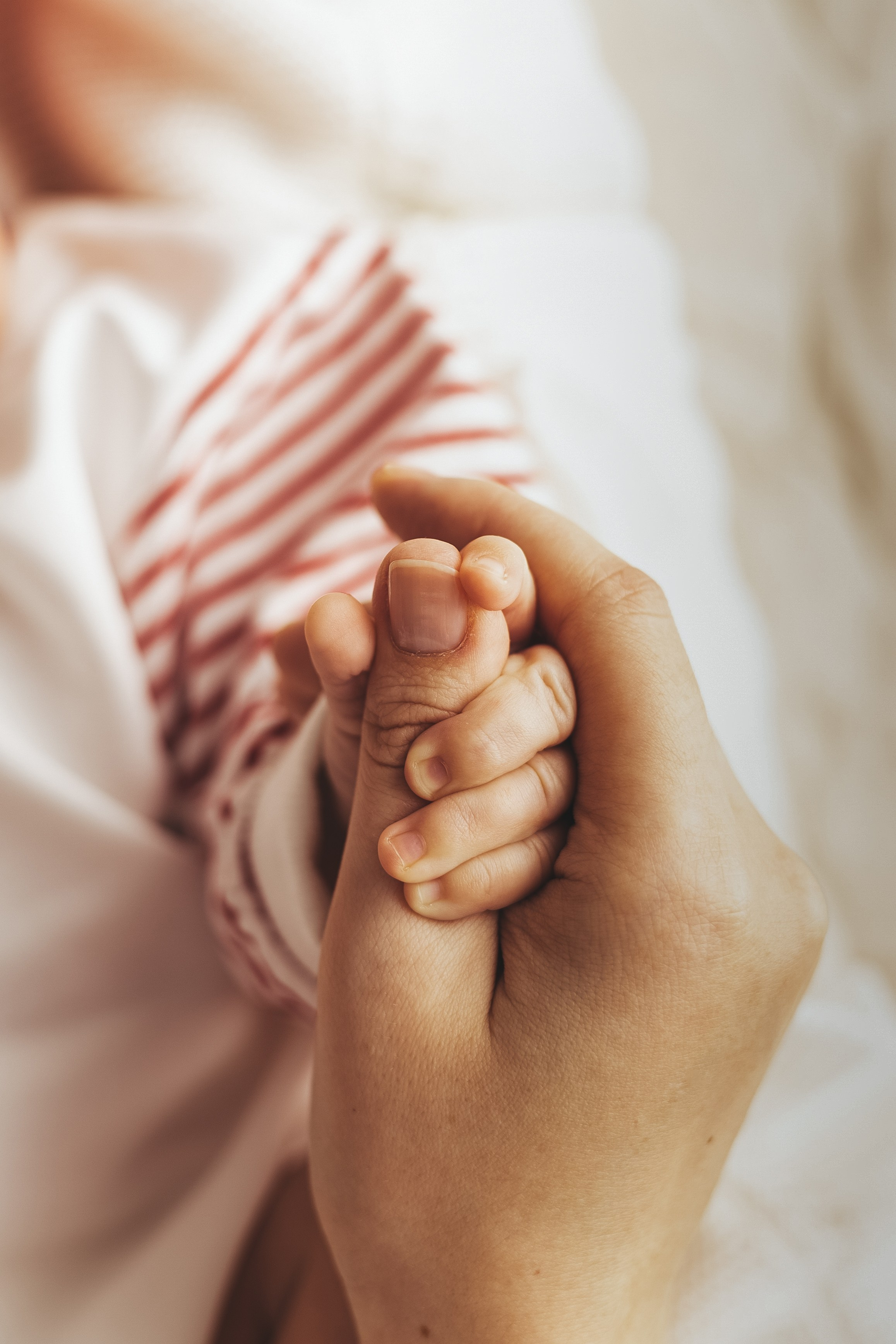 Айлин. Фотограф новорожденных в Санкт-Петербурге Екатерина Иванова