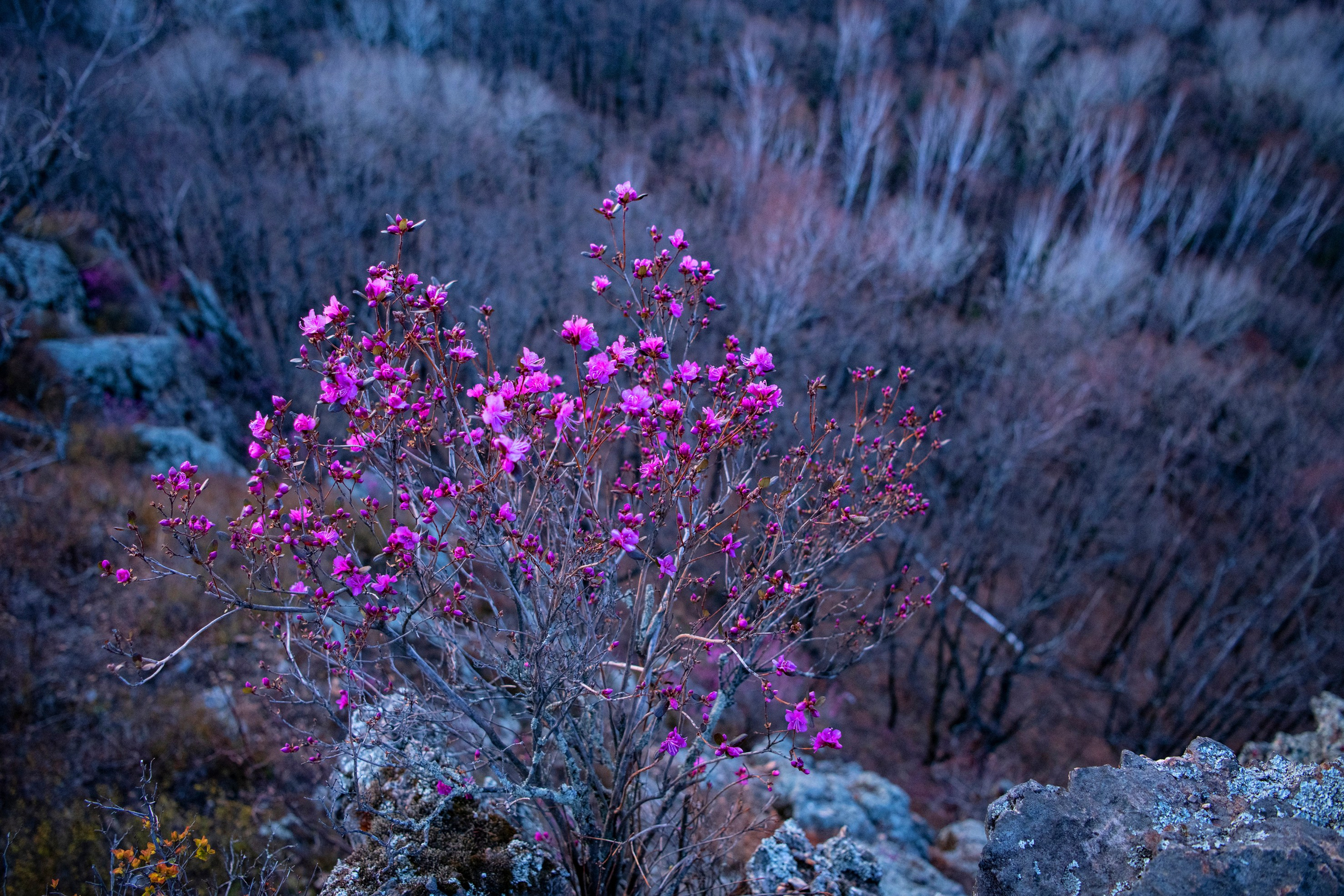 Природа Хабаровского края. Команда фотографов Кристины Ивановой