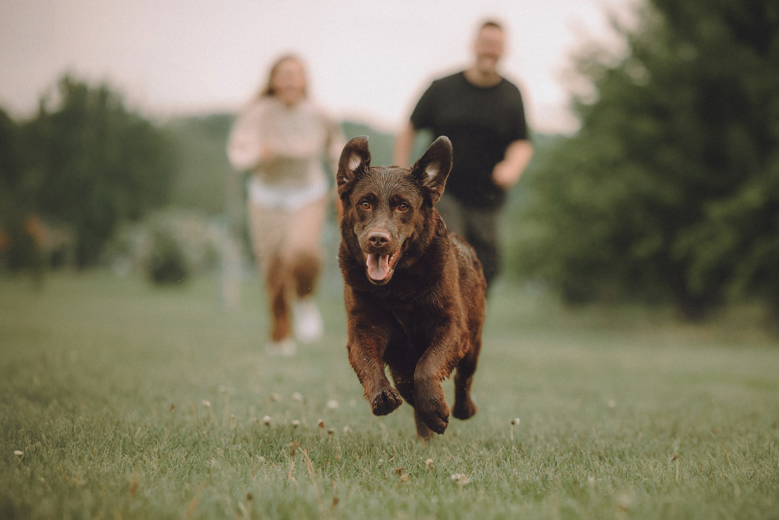 Катя, Ваня и Джеси