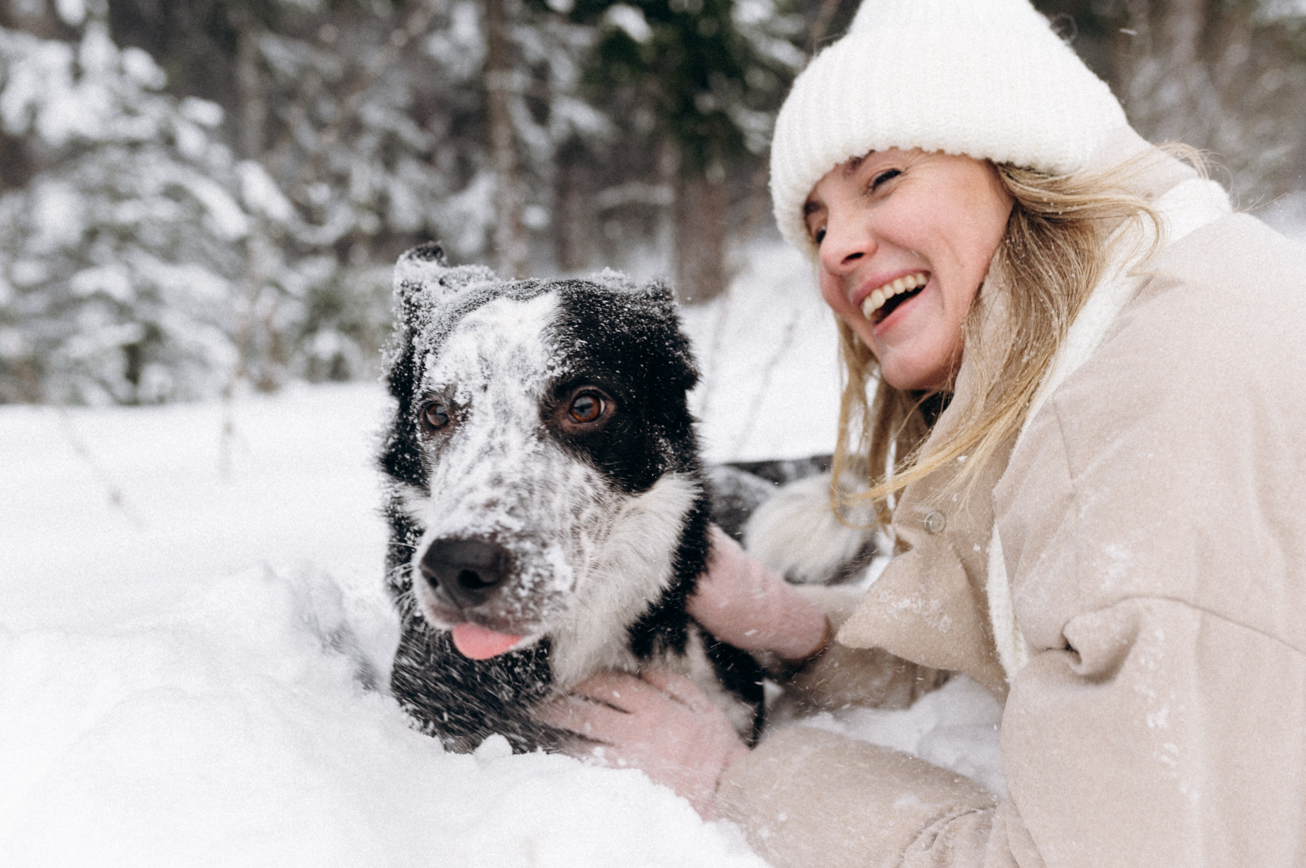 Аня и Милан. Фотограф анималист в Москве Ольга Агушева