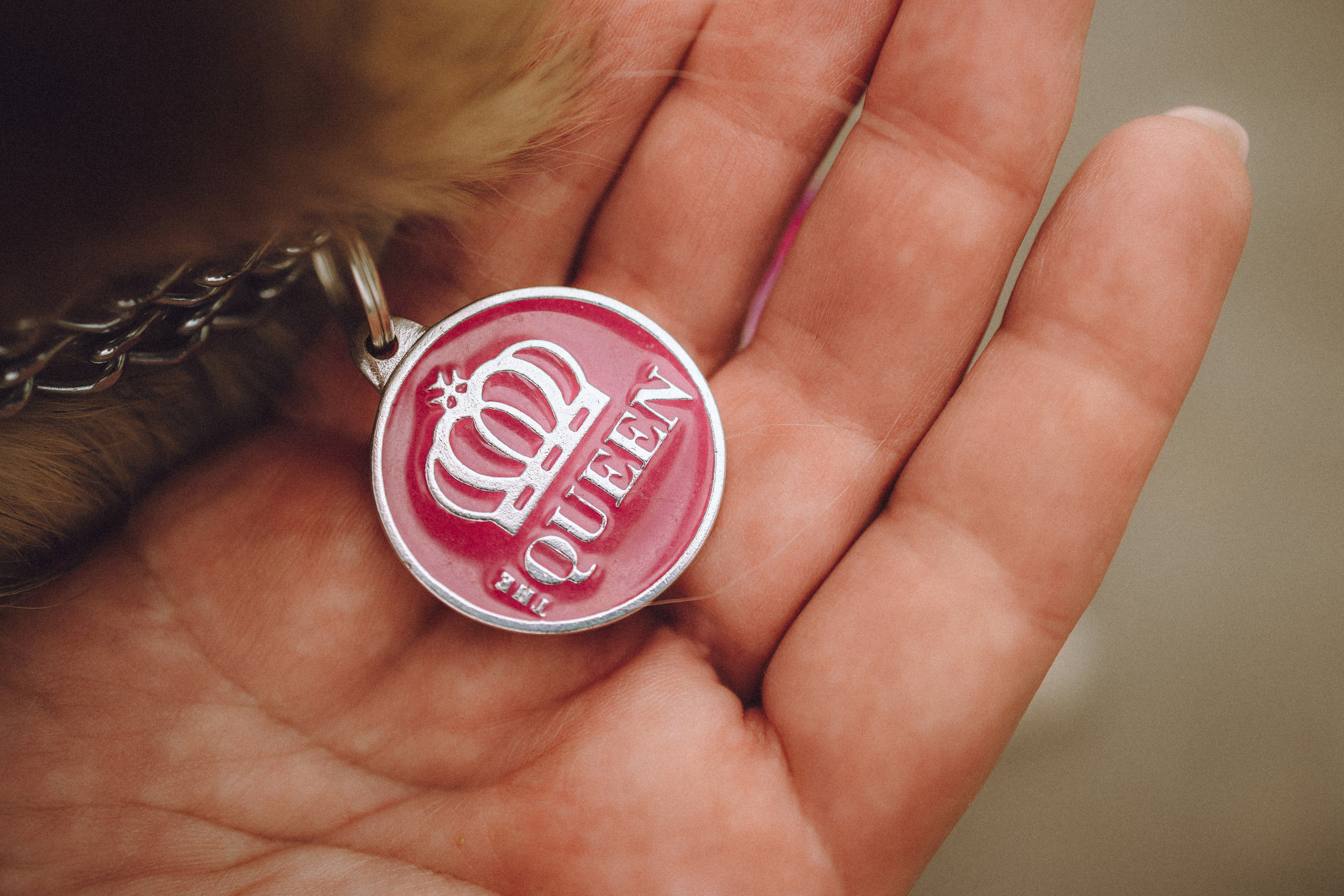 Груша, Данни, Фунтик и их семья