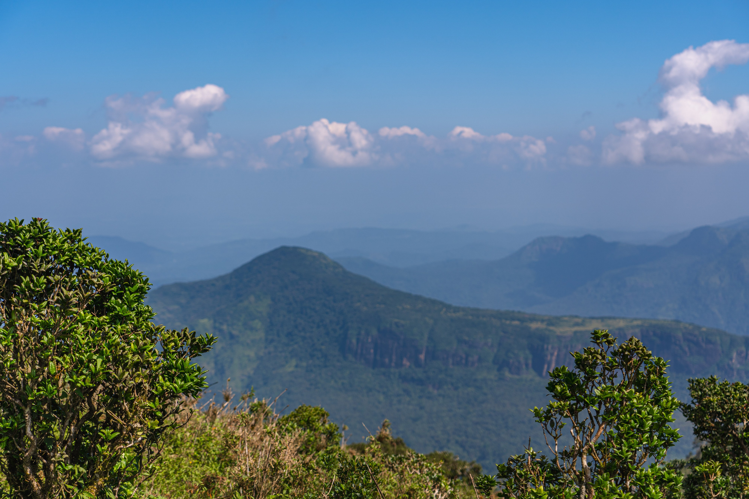 Promo content shooting for Ceylon Forward Tours
