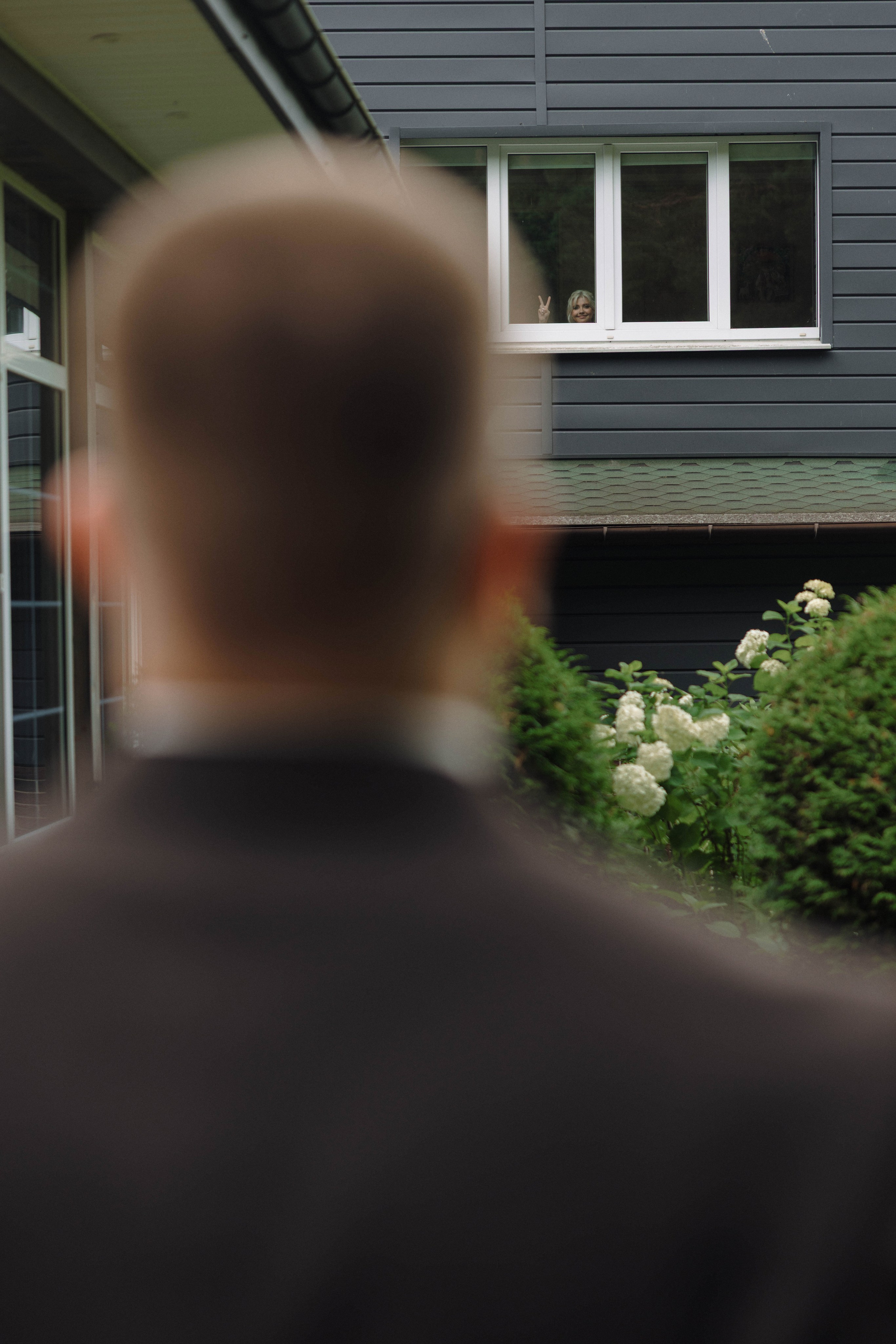 Зеленый сад